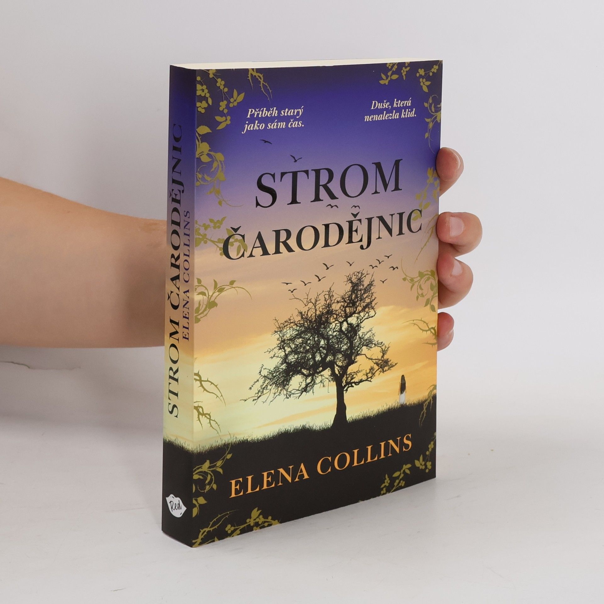 Judy Leigh Strom čarodějnic