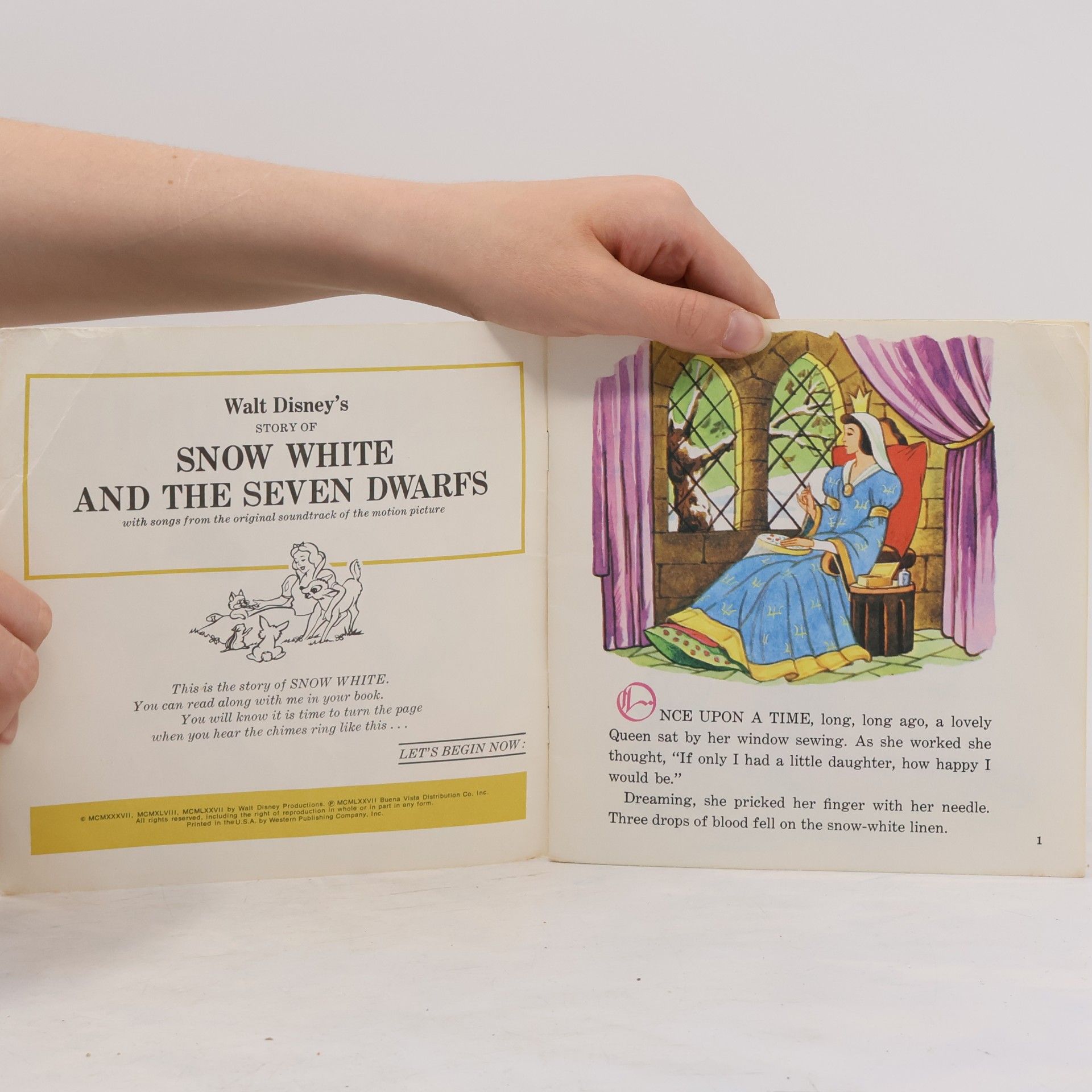 Kolektiv autorů Snow White and the Seven Dwarfs