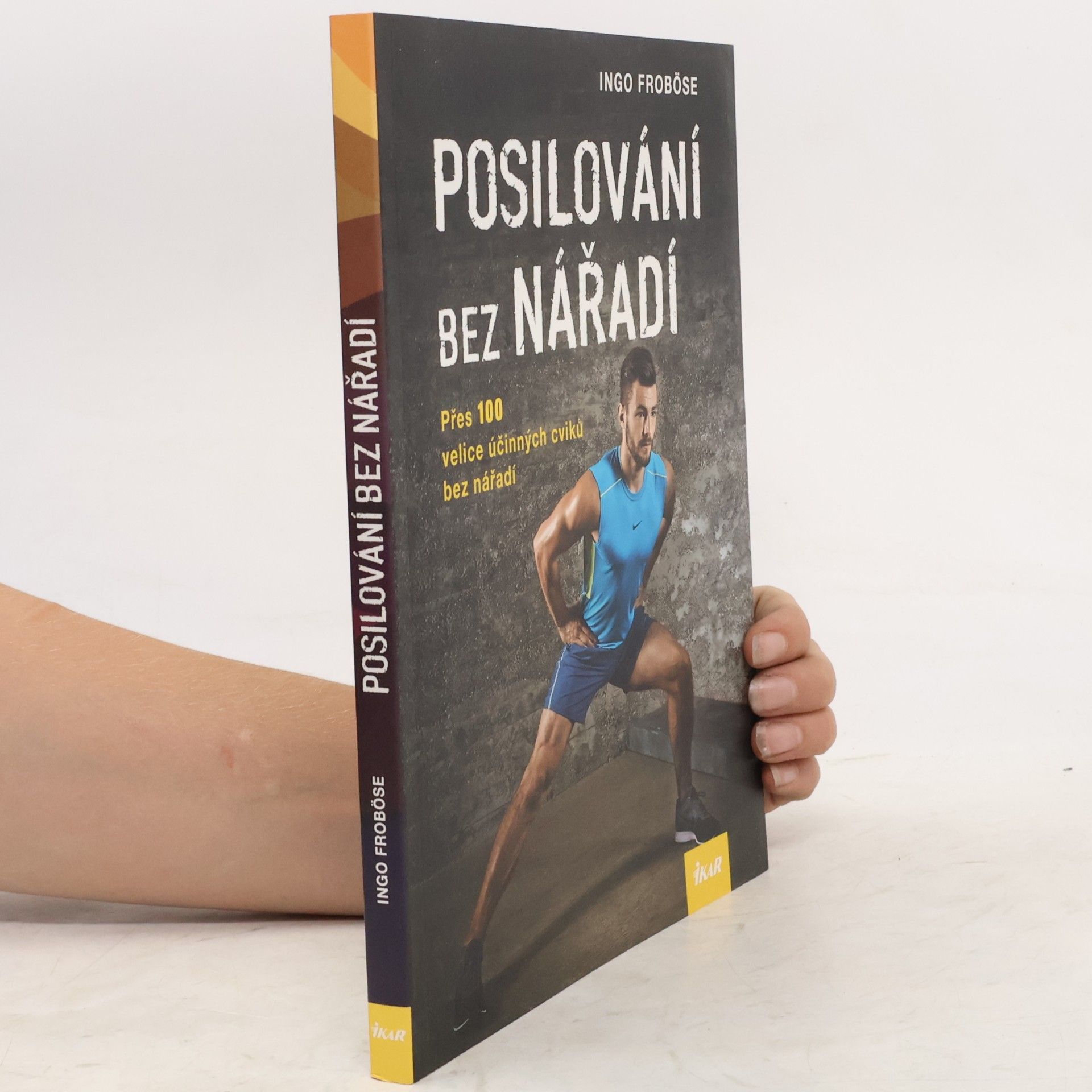 Ingo Froböse Posilování bez nářadí
