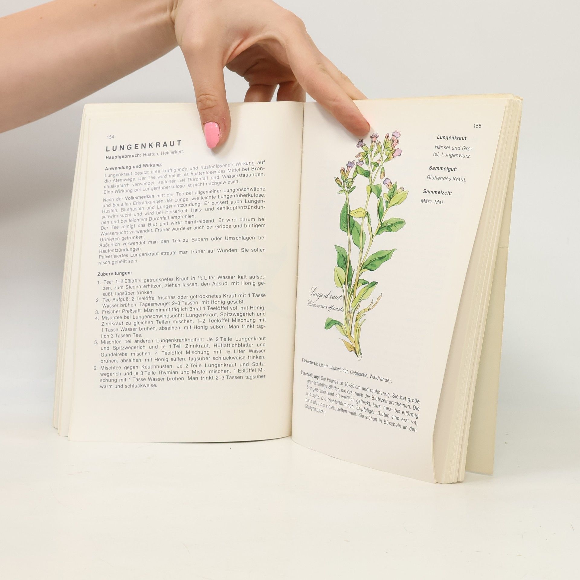 Autores varios Heilkräuter. Geschenke Gottes für Deine Gesundheit