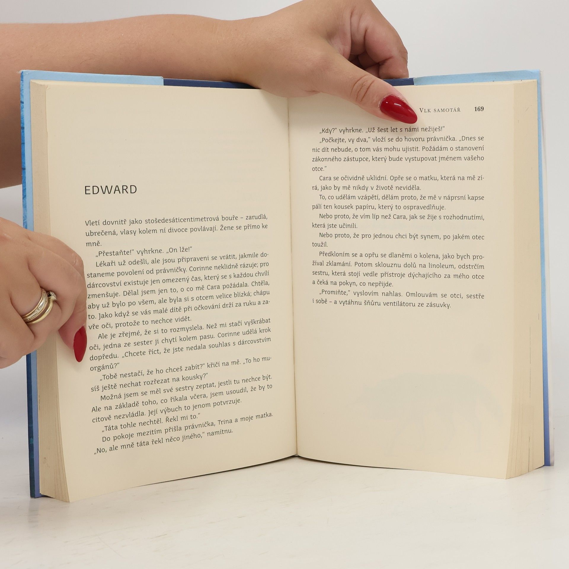 Jodi Picoult Vlk samotář