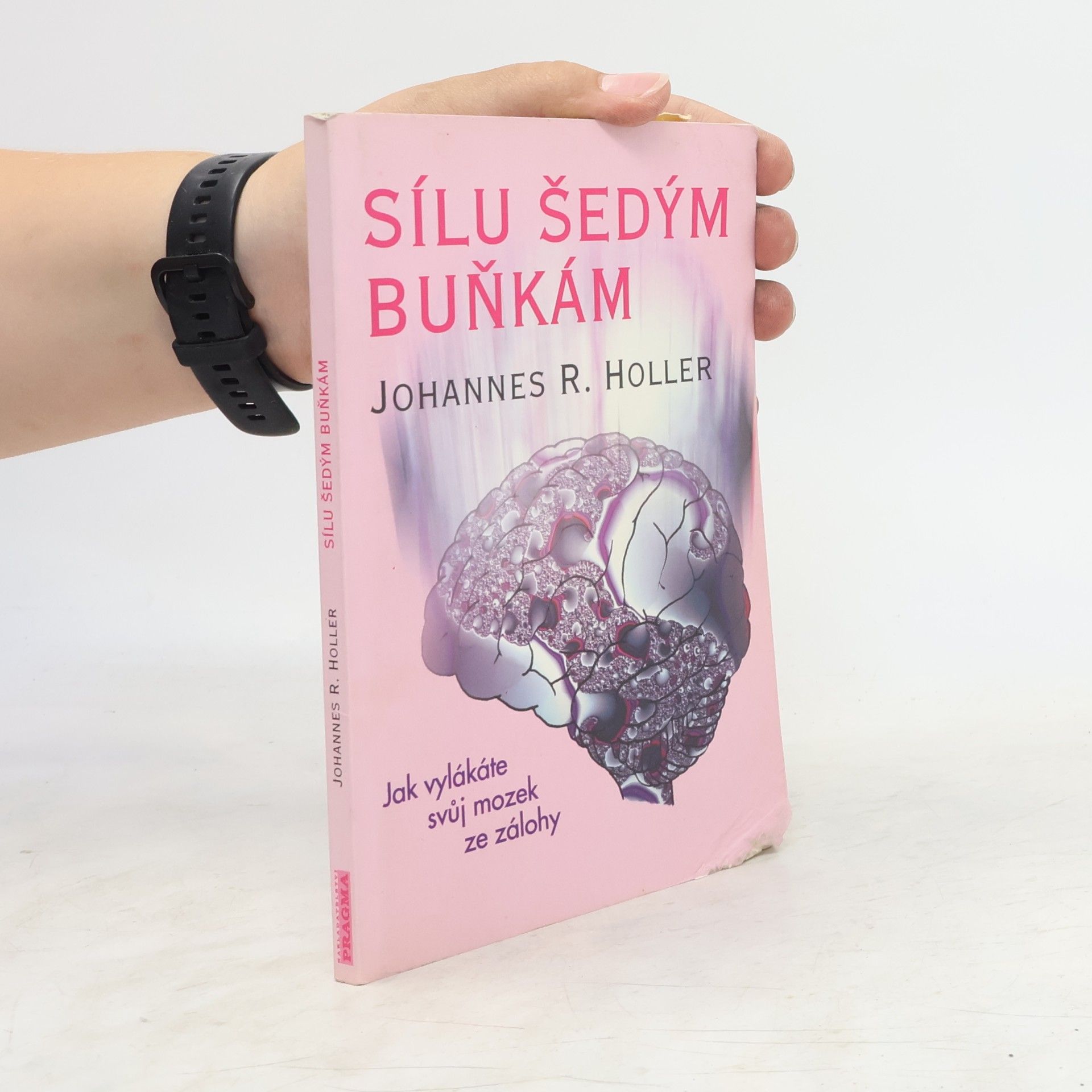 Johannes R. Holler Sílu šedým buňkám: Jak vylákat svůj mozek ze zálohy