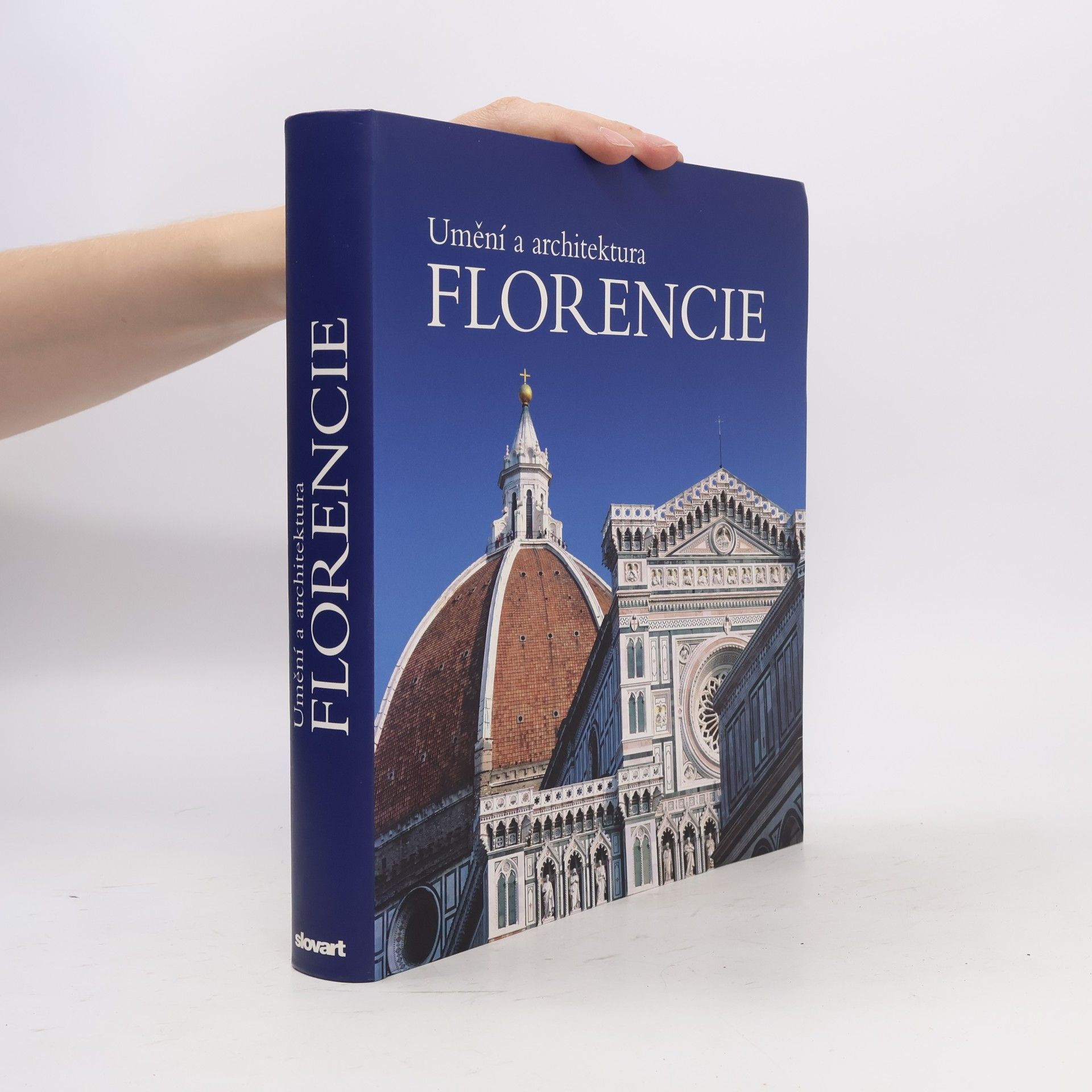 Silvestra Bietoletti Umění a architektura Florencie