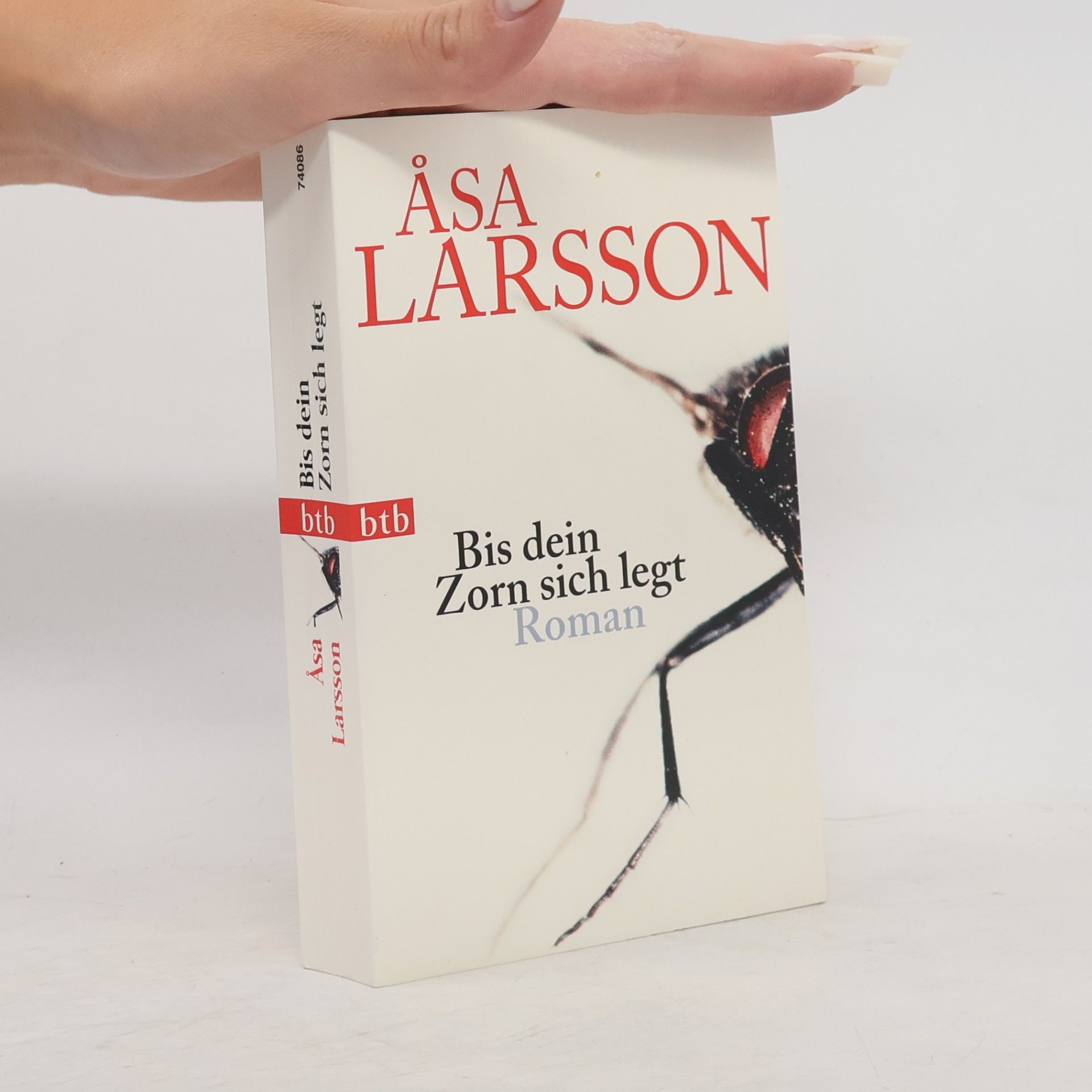 Åsa Larsson Bis dein Zorn sich legt