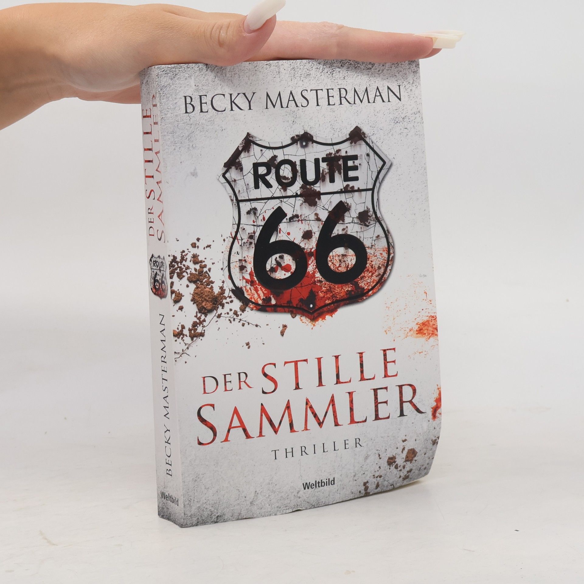 Becky Masterman Der stille Sammler