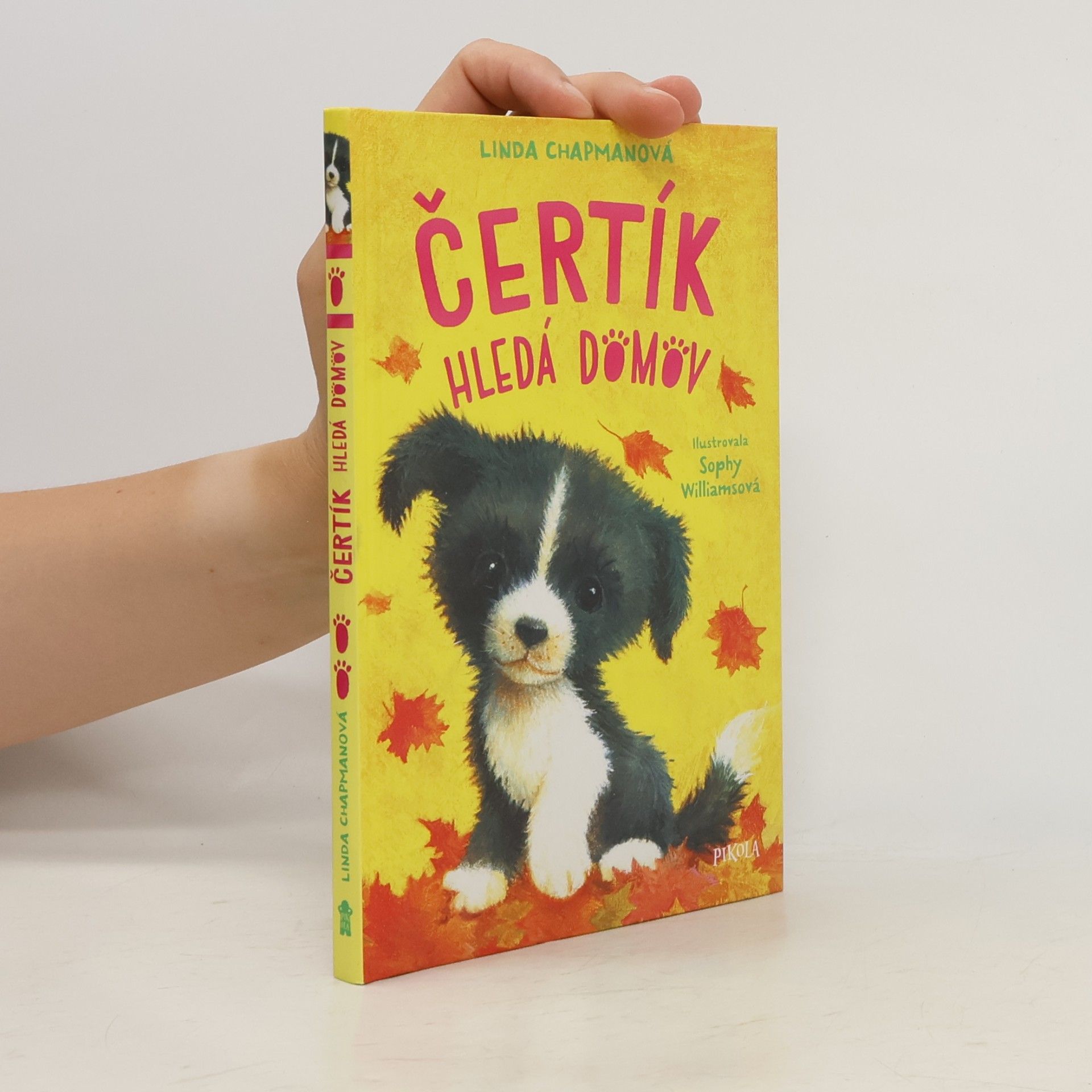 Linda Champan Čertík hledá domov