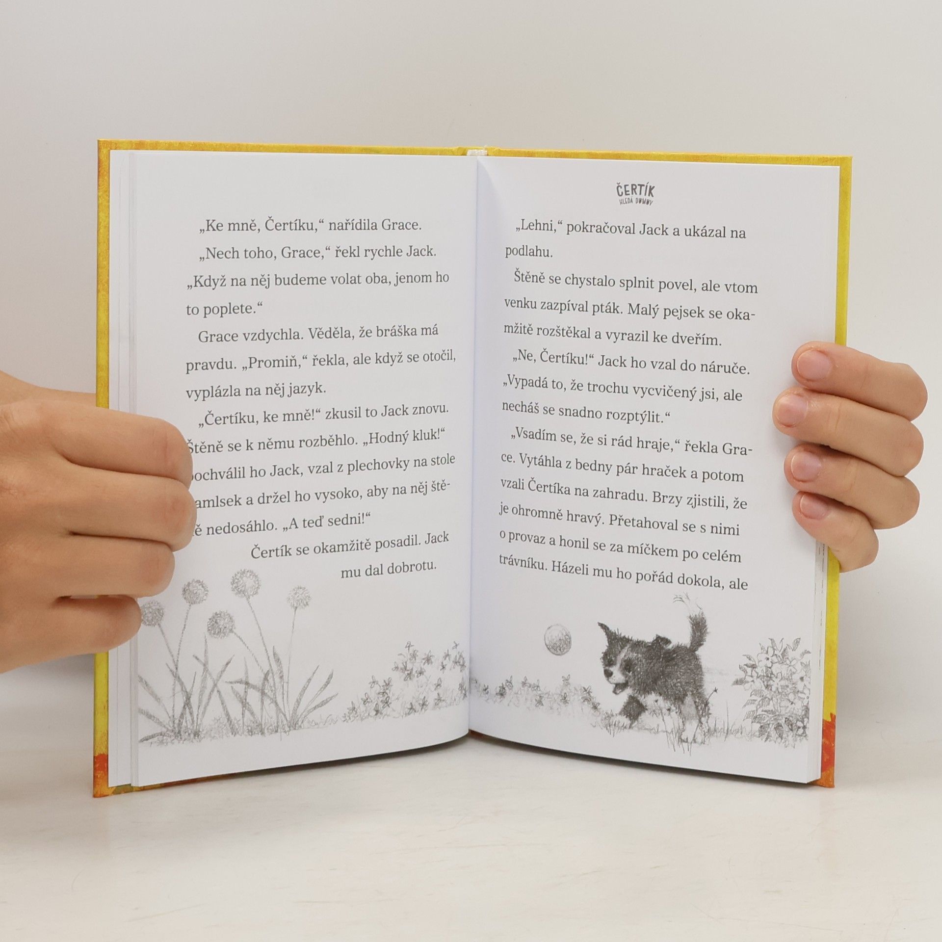 Květa Palowská Čertík hledá domov