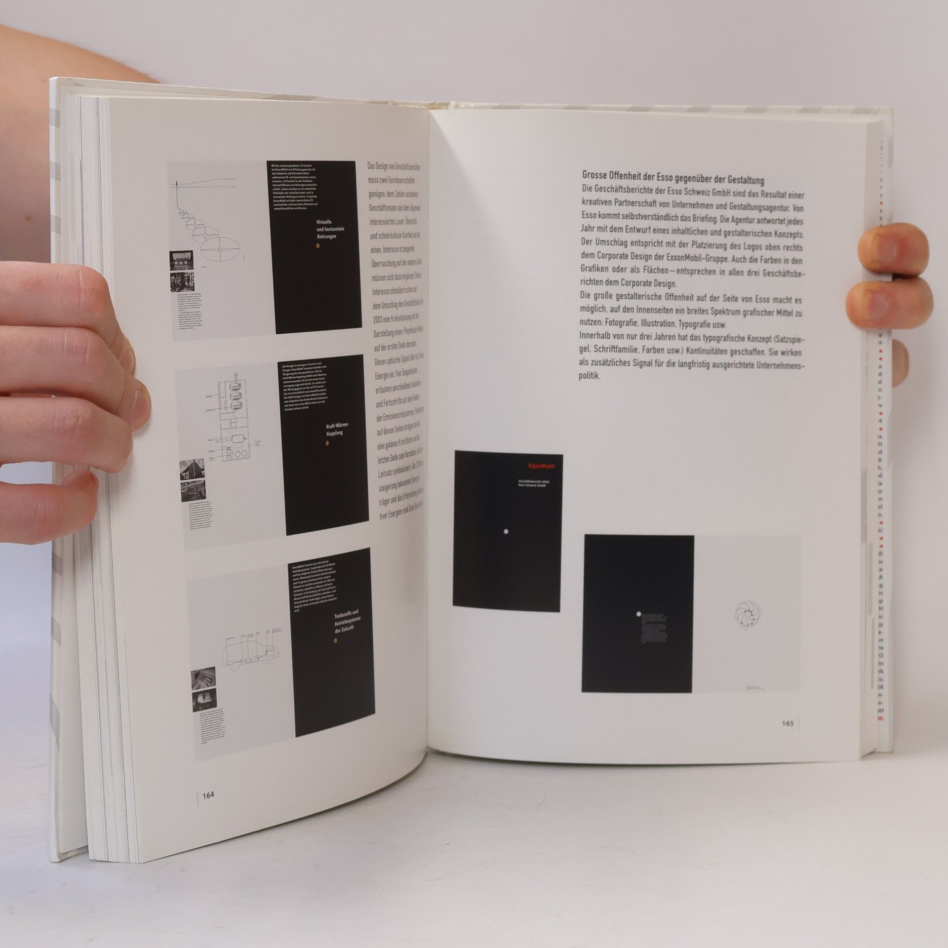 Gernot Brauer Erfolgsfaktor Design-Management