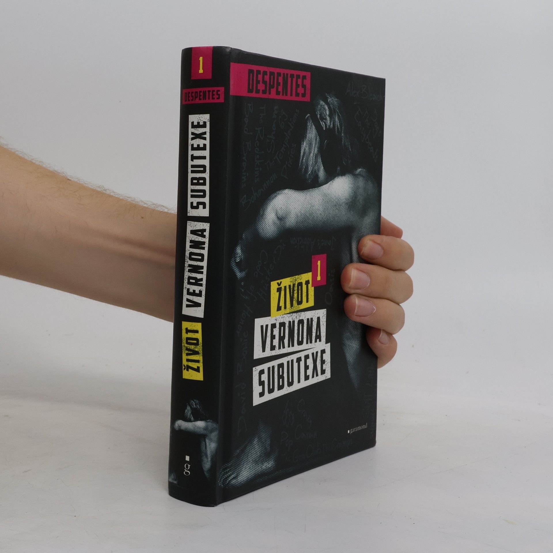 Virginie Despentes Život Vernona Subutexe. Díl 1.
