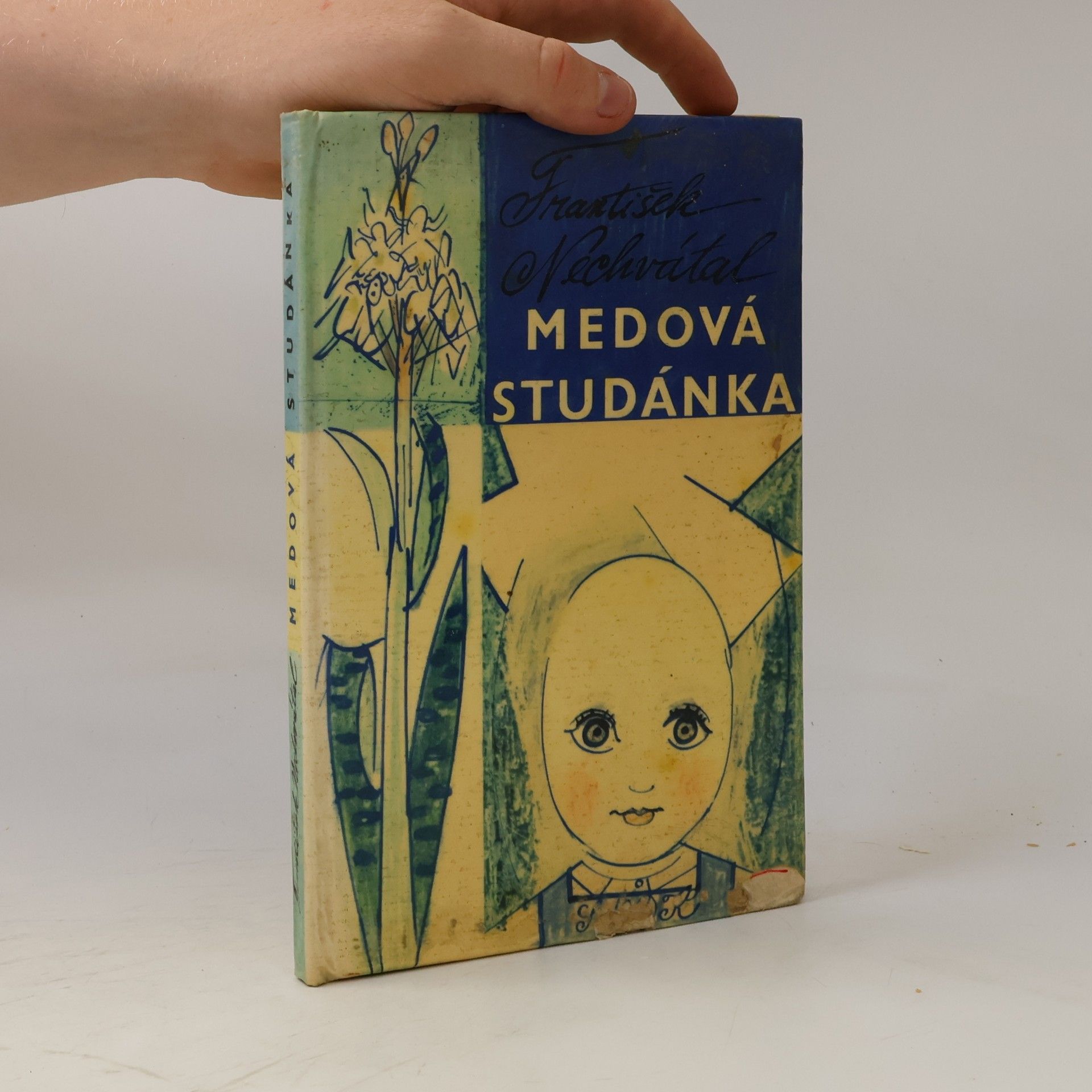 František Nechvátal Medová studánka