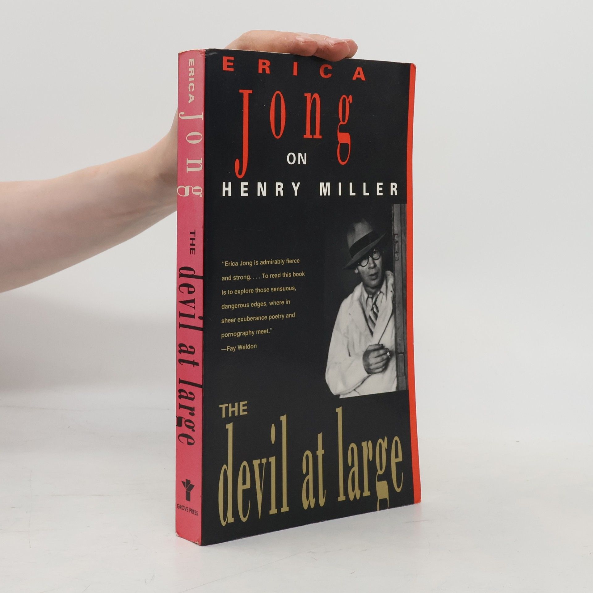 Erica Jong The Devil at Large