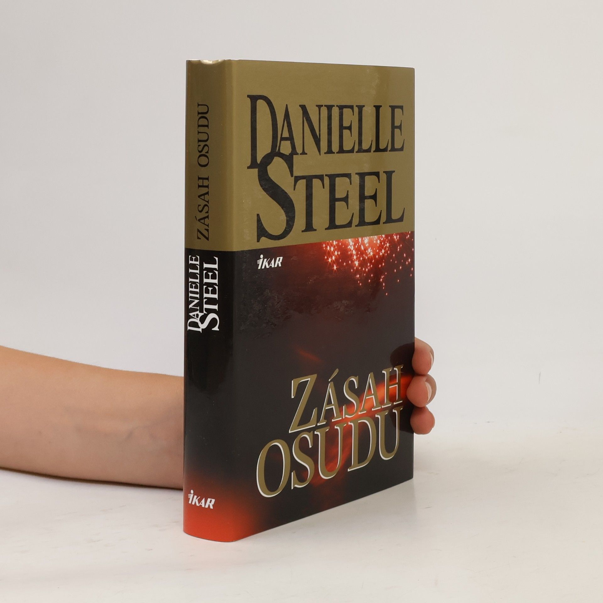 Danielle Steel Zásah osudu