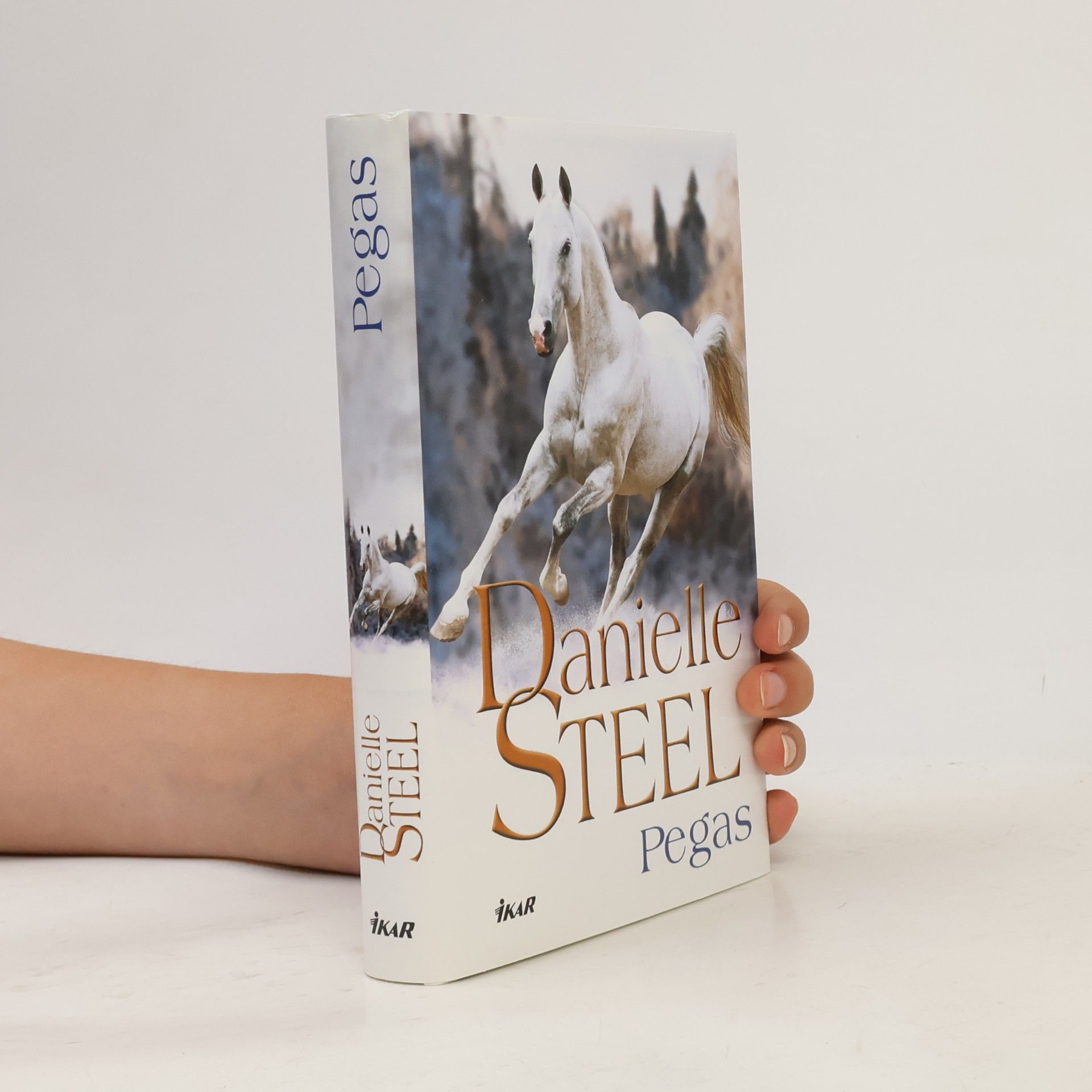 Danielle Steel Pegas
