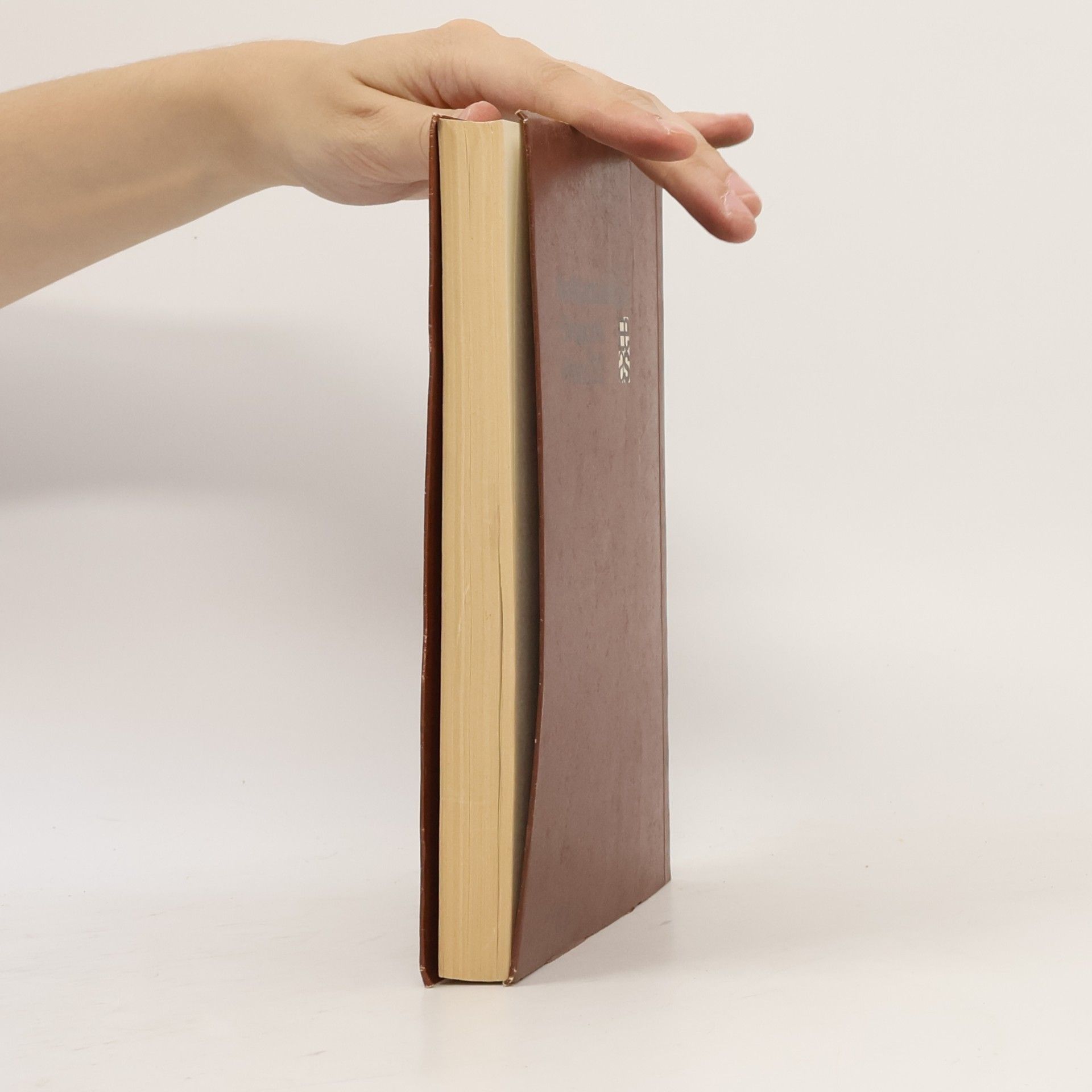 Jan Tinbergen Hospodářská politika