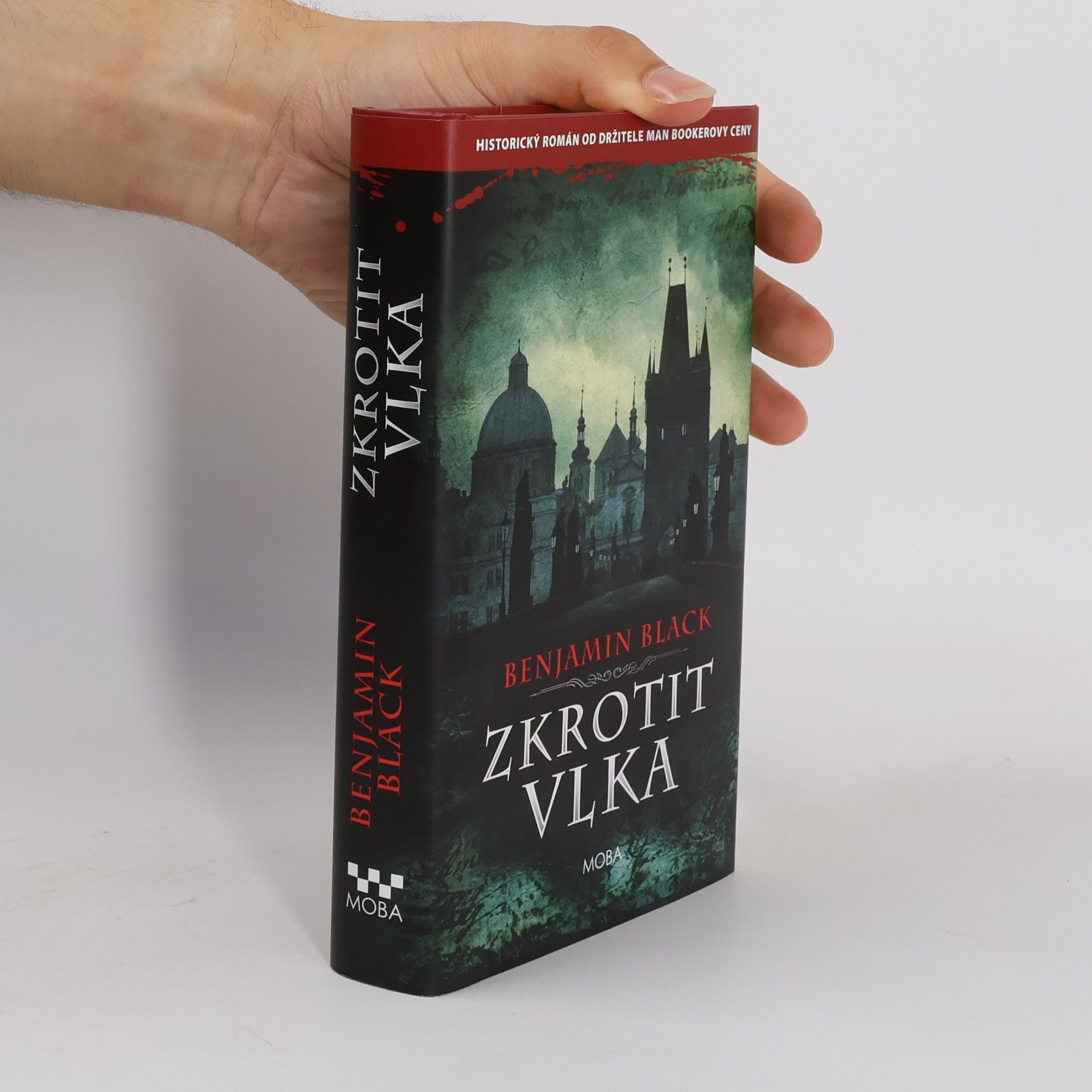 John Banville Zkrotit vlka