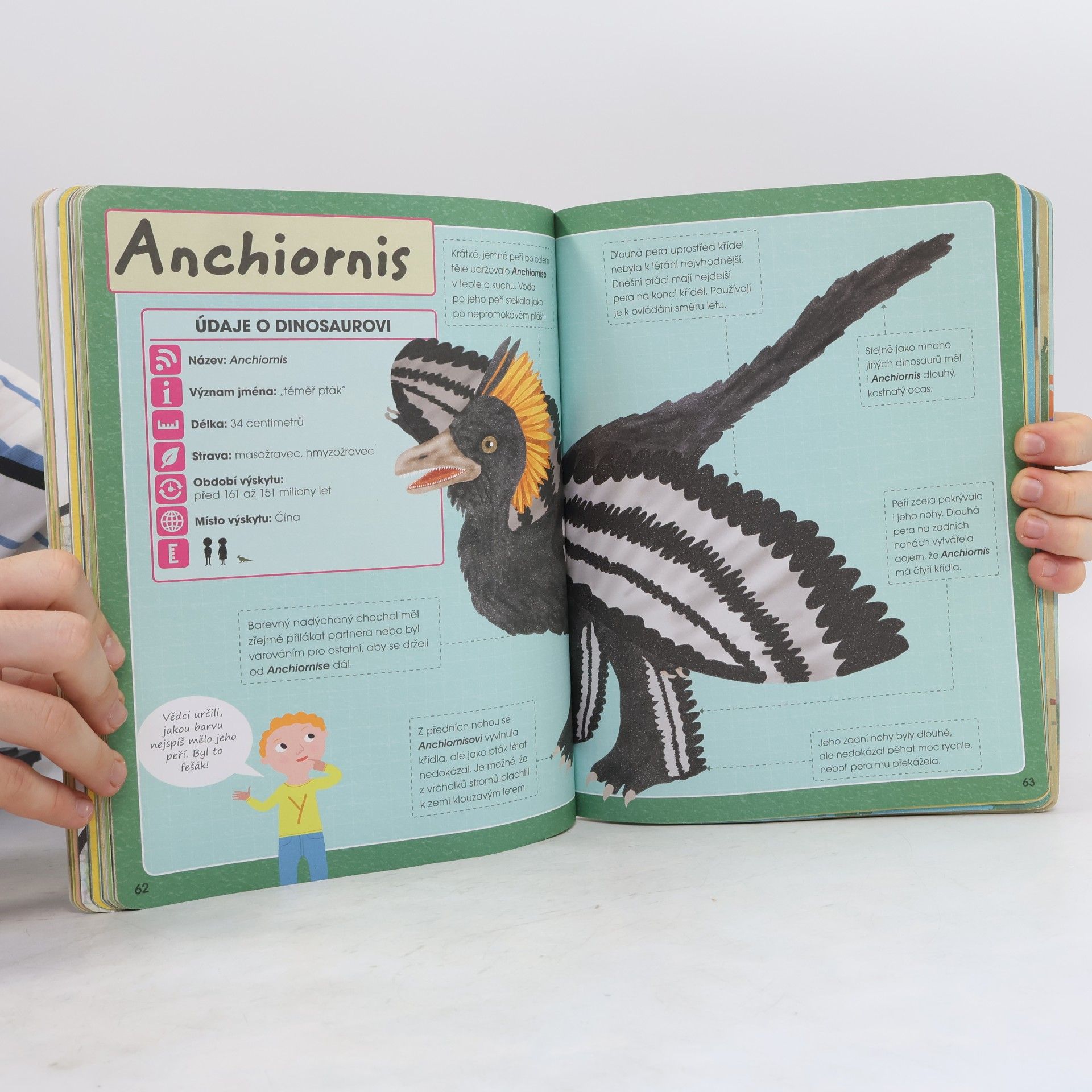 Autorenkollektiv Dobrodružná výprava za poznáním: Dinosauři