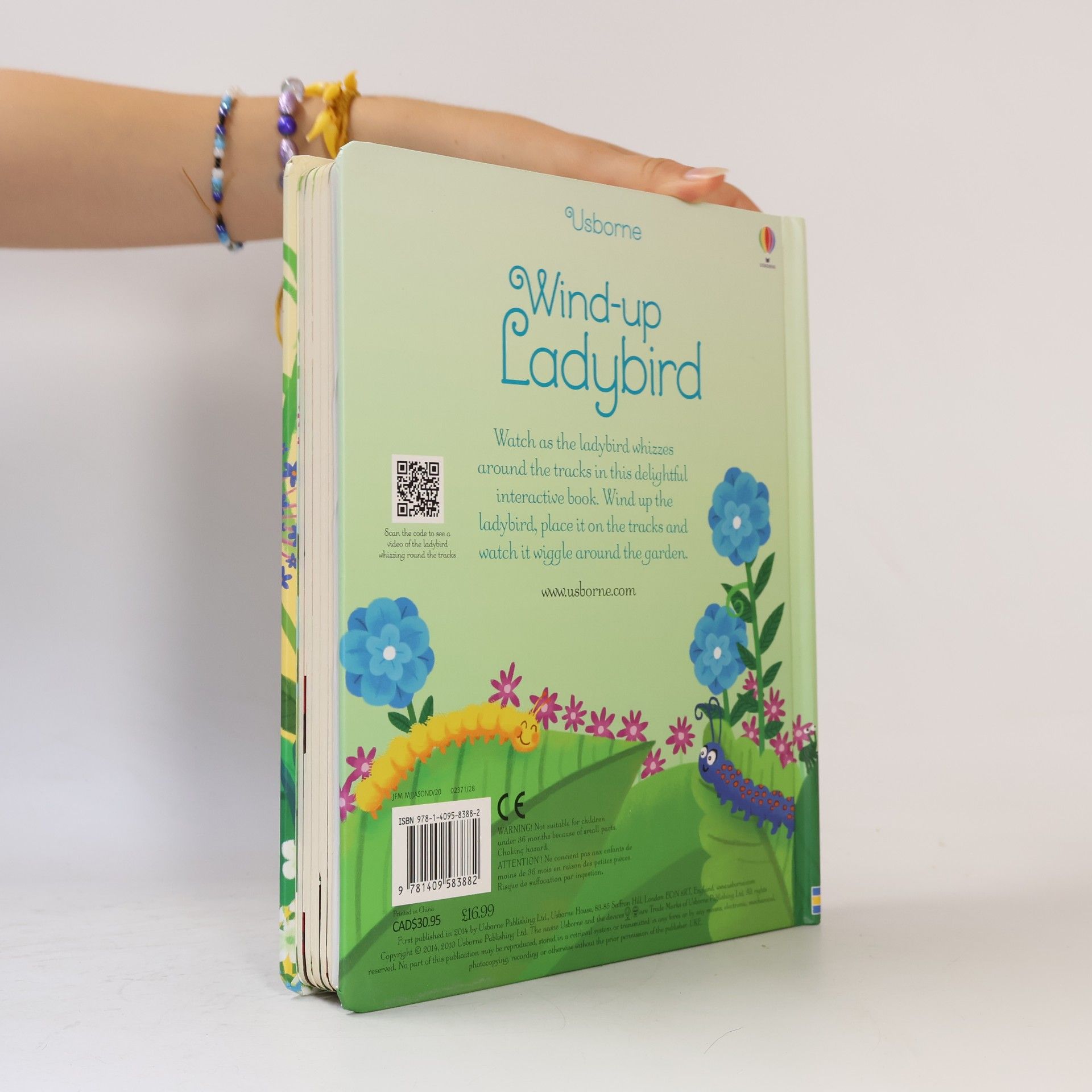 Fiona Watt Wind-up Ladybird