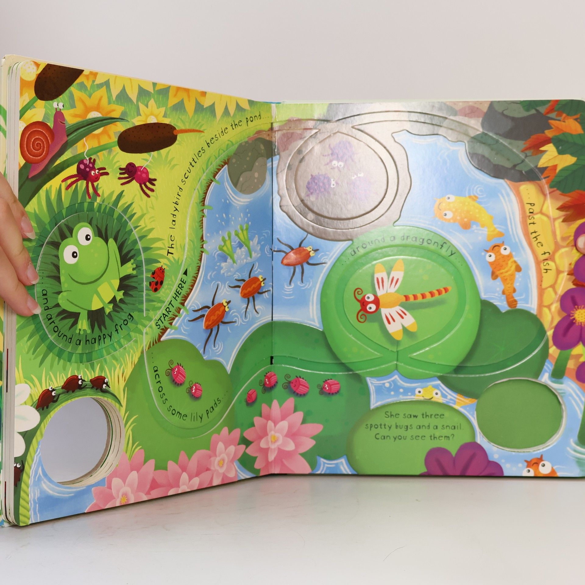 Fiona Watt Wind-up Ladybird