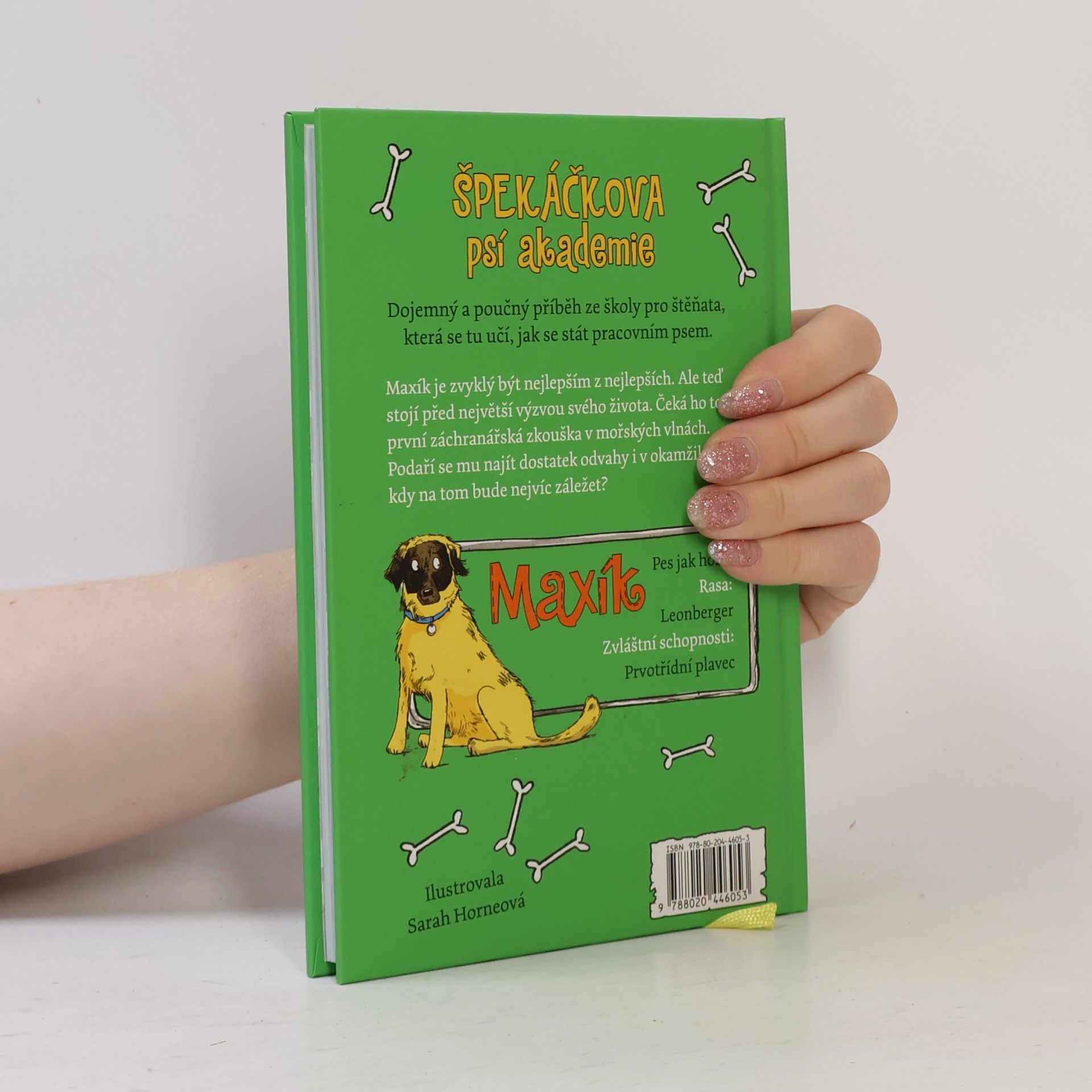 Gill Lewis Maxík a záchrana ve vlnách. Špekáčkova psí akademie 4