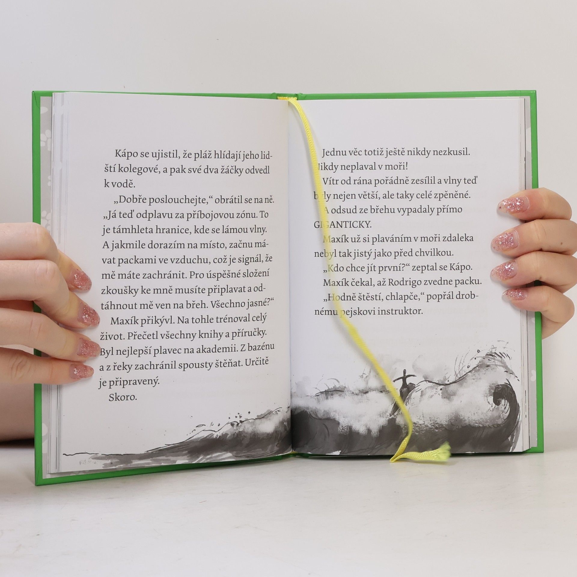 Gill Lewis Maxík a záchrana ve vlnách. Špekáčkova psí akademie 4