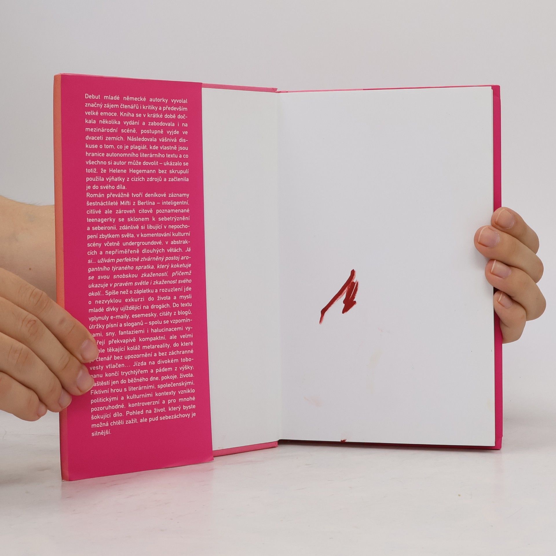Helene Hegemann Axolotl roadkill