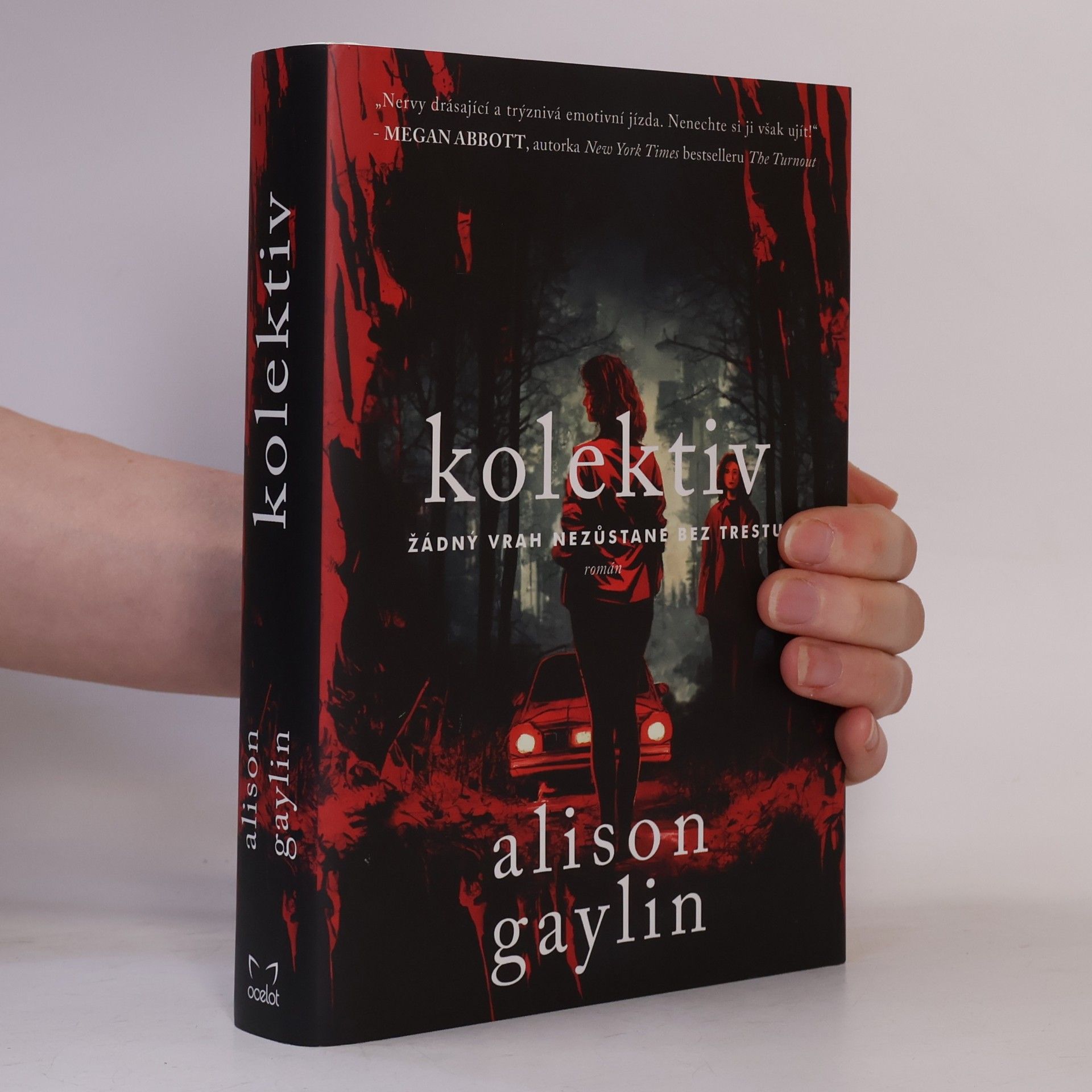 Alison Gaylin Kolektiv