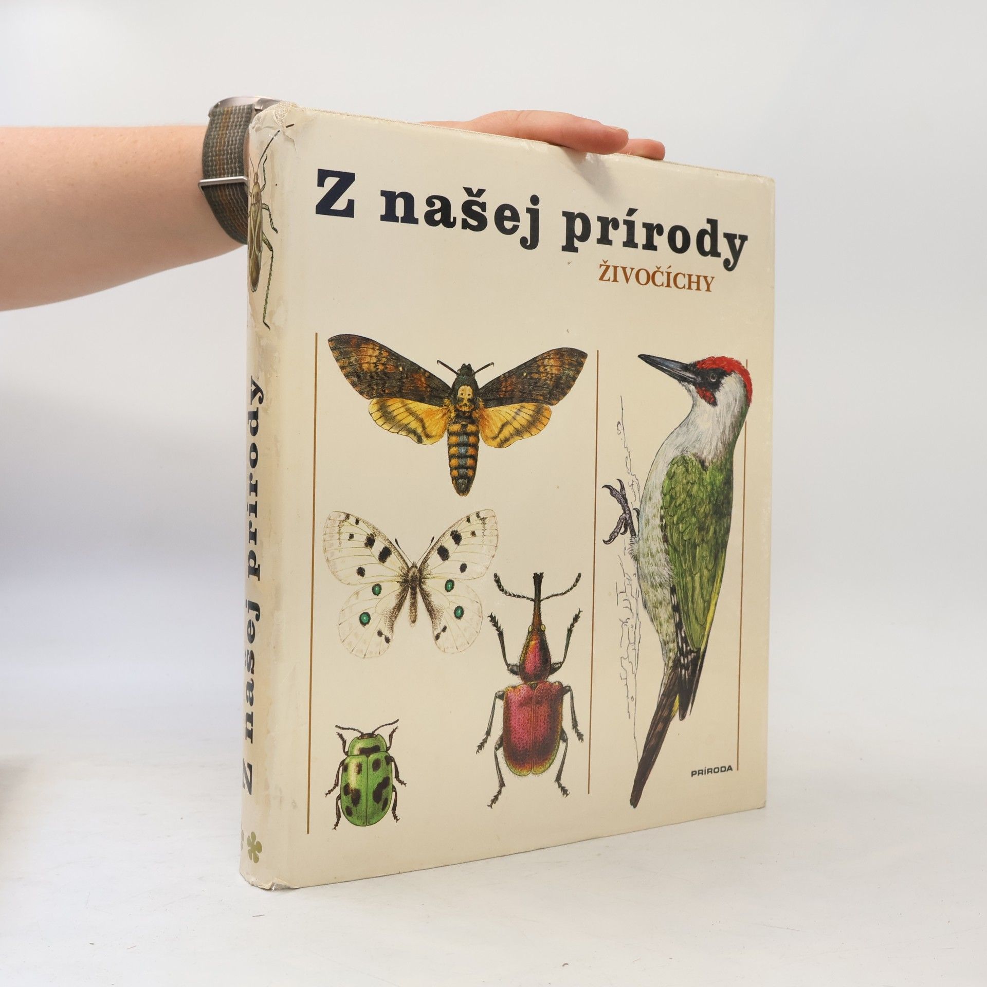 Ladislav Korbel Z našej prírody. Živočíchy