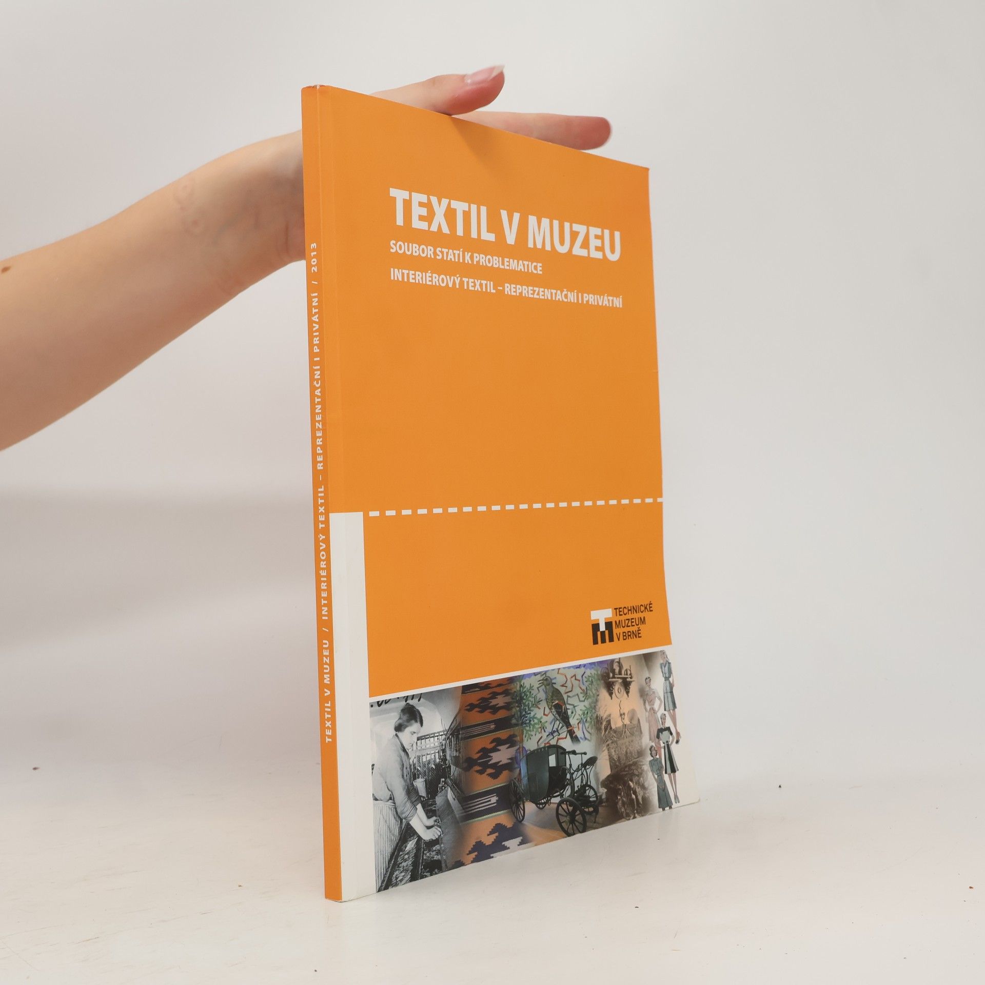 Kolektiv autorů Textil v muzeu 2013