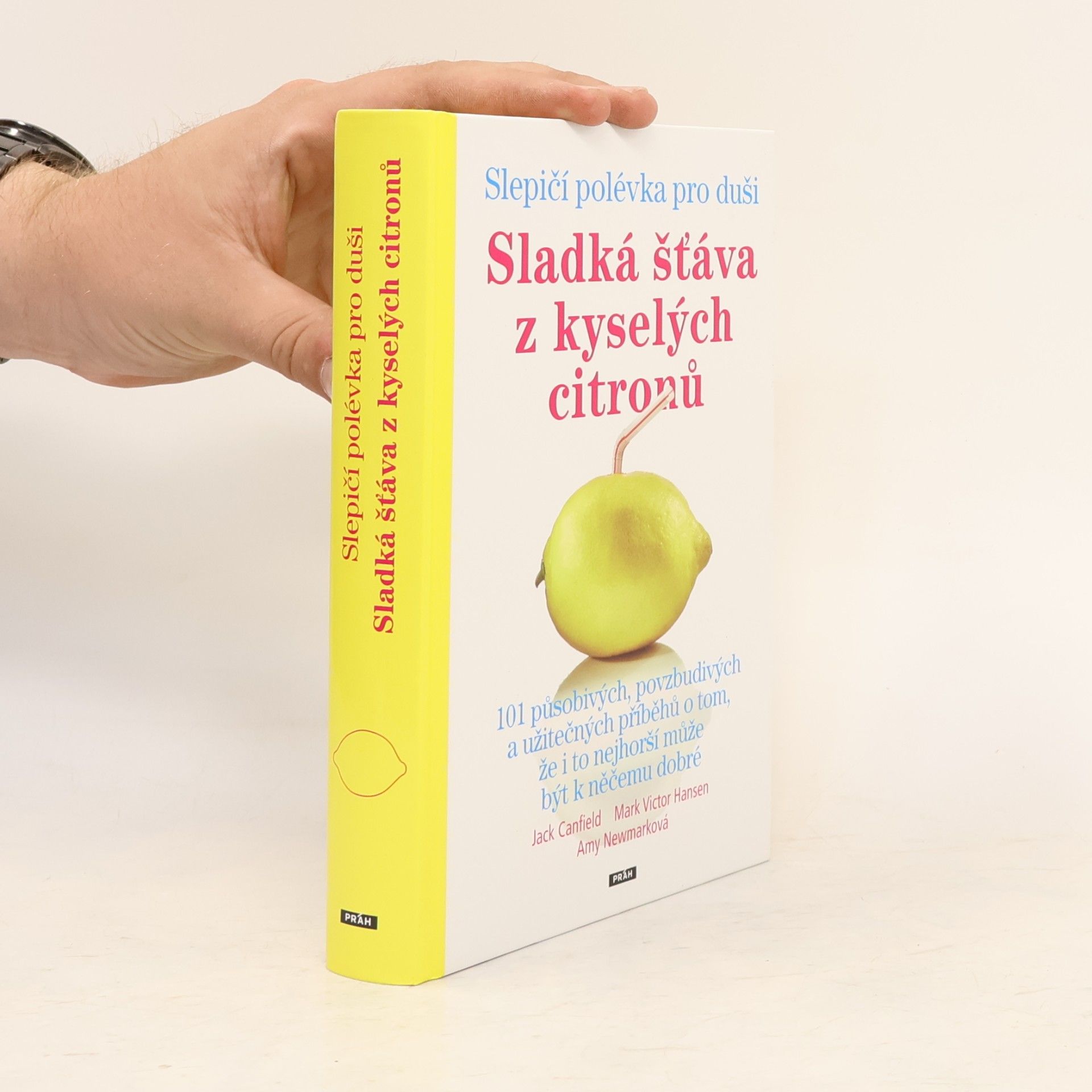 Amy Newmark Slepičí polévka pro duši : sladká šťáva z kyselých citronů