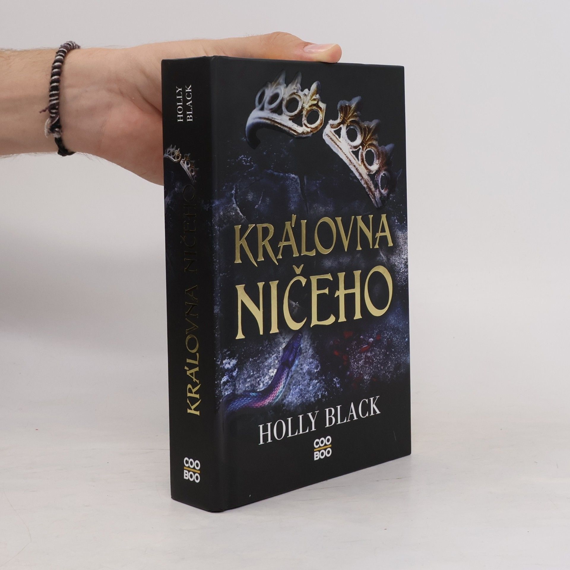 Holly Black Královna ničeho