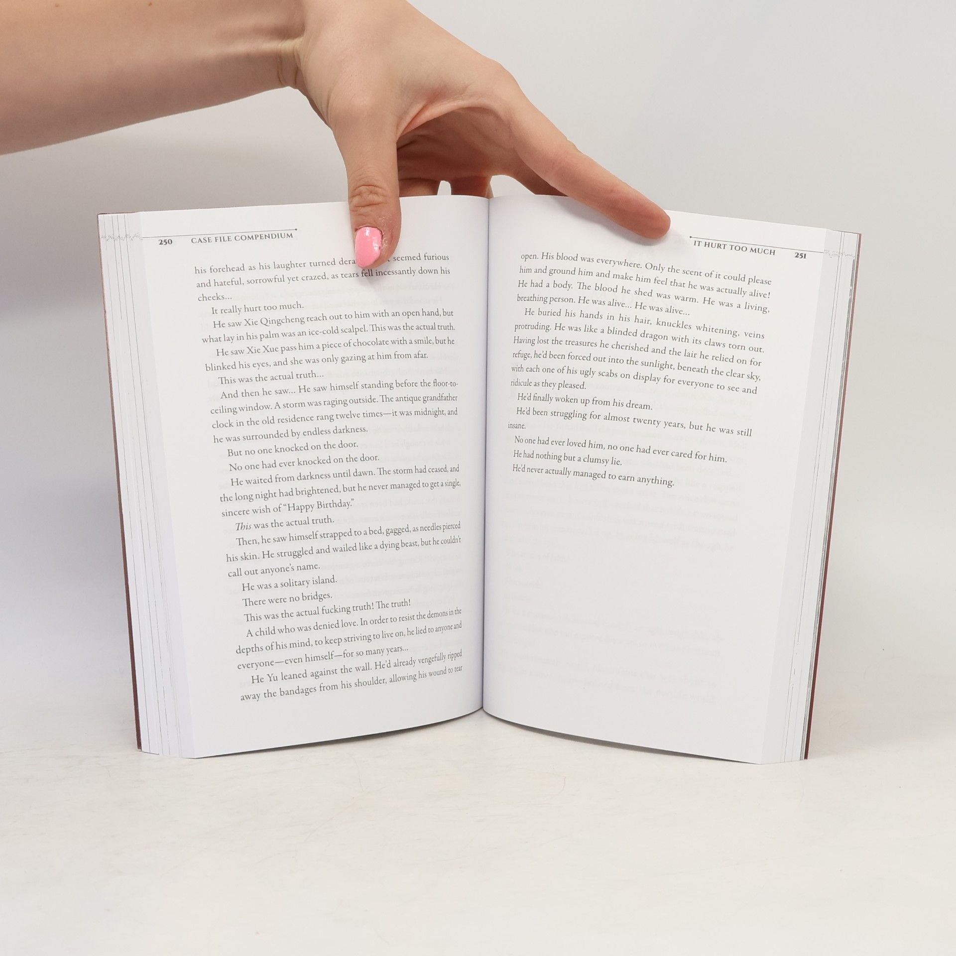 Rou Bao Bu Chi Rou Case File Compendium: Bing An Ben (Novel) Vol. 2