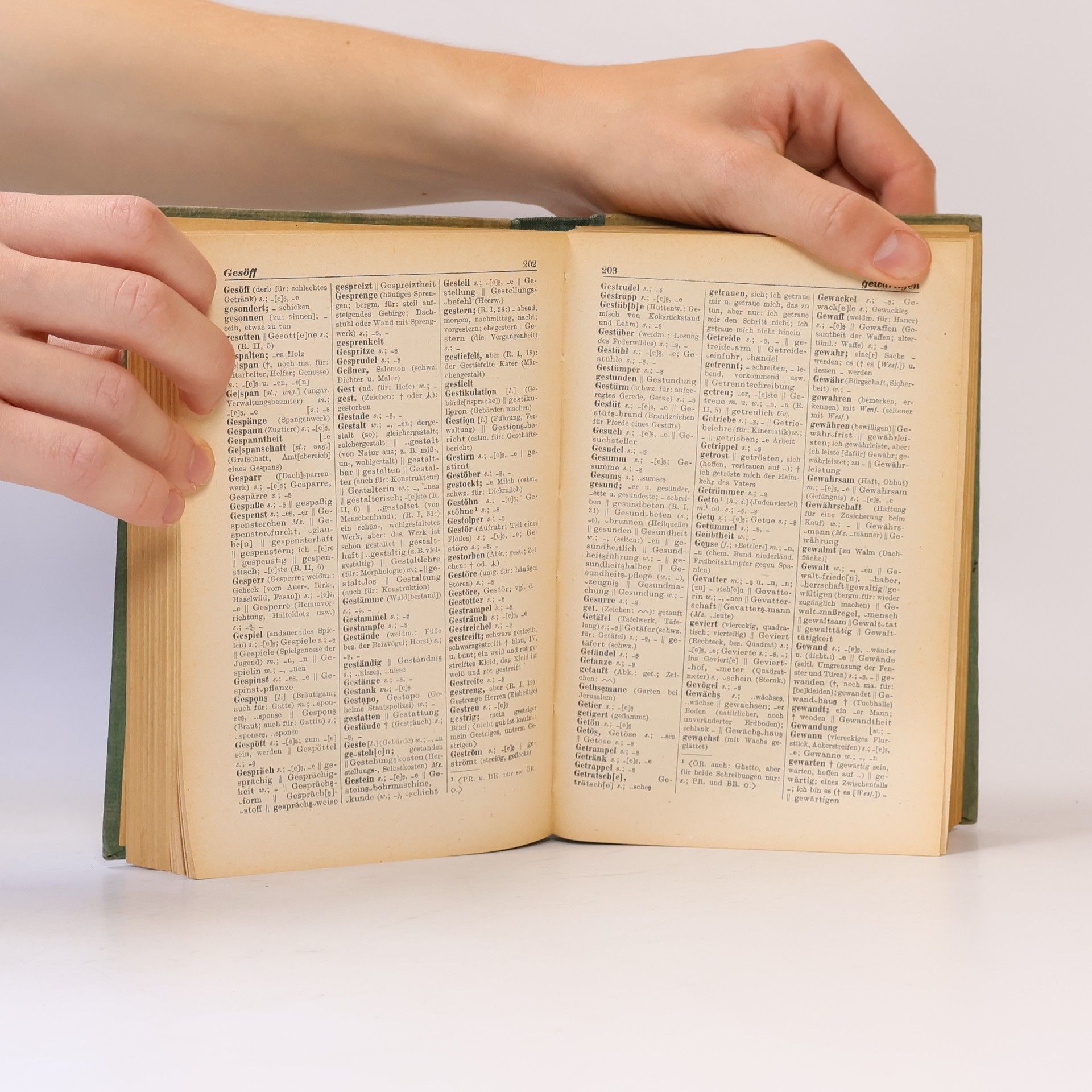 Various authors Der große Duden