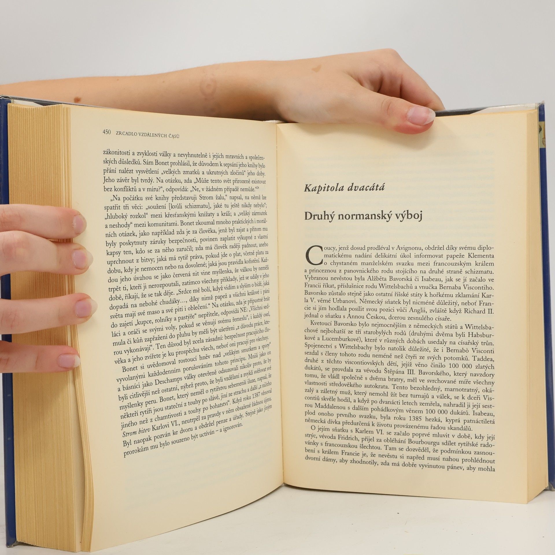 Barbara Tuchman Zrcadlo vzdálených časů. 14. století - století pohrom