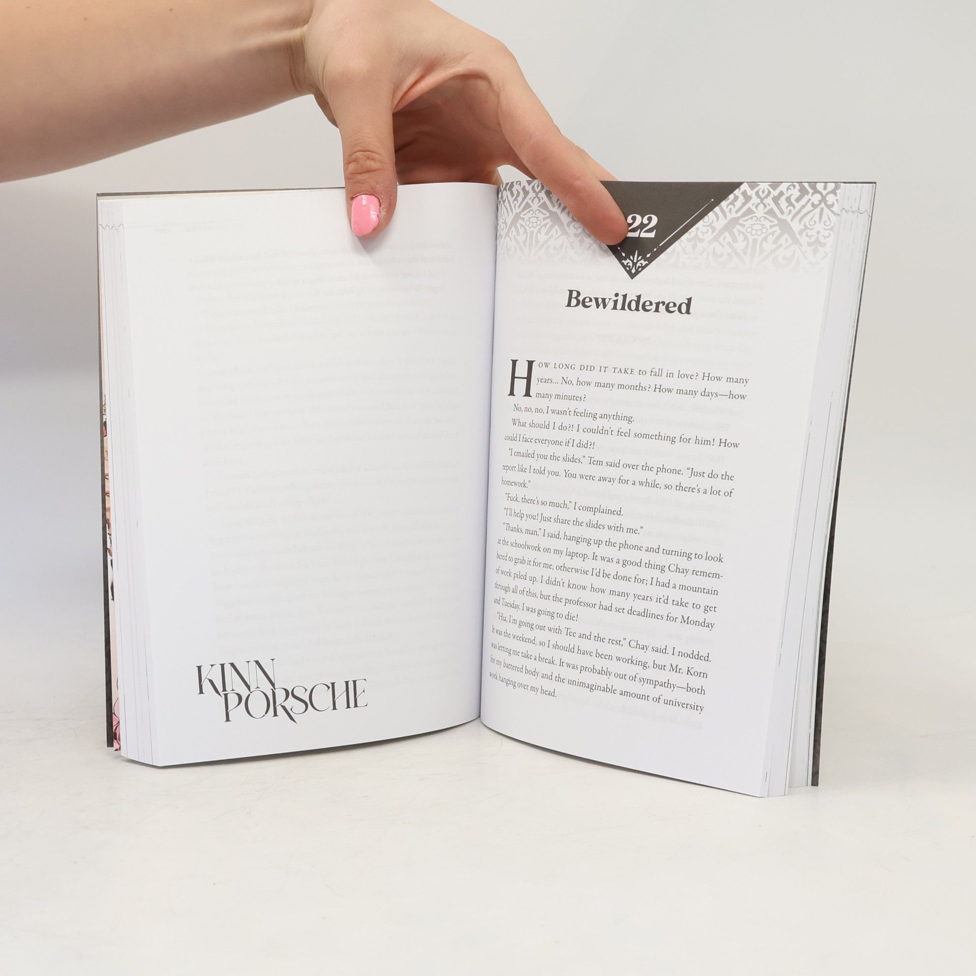 Daemi Novel - 2: KinnPorsche