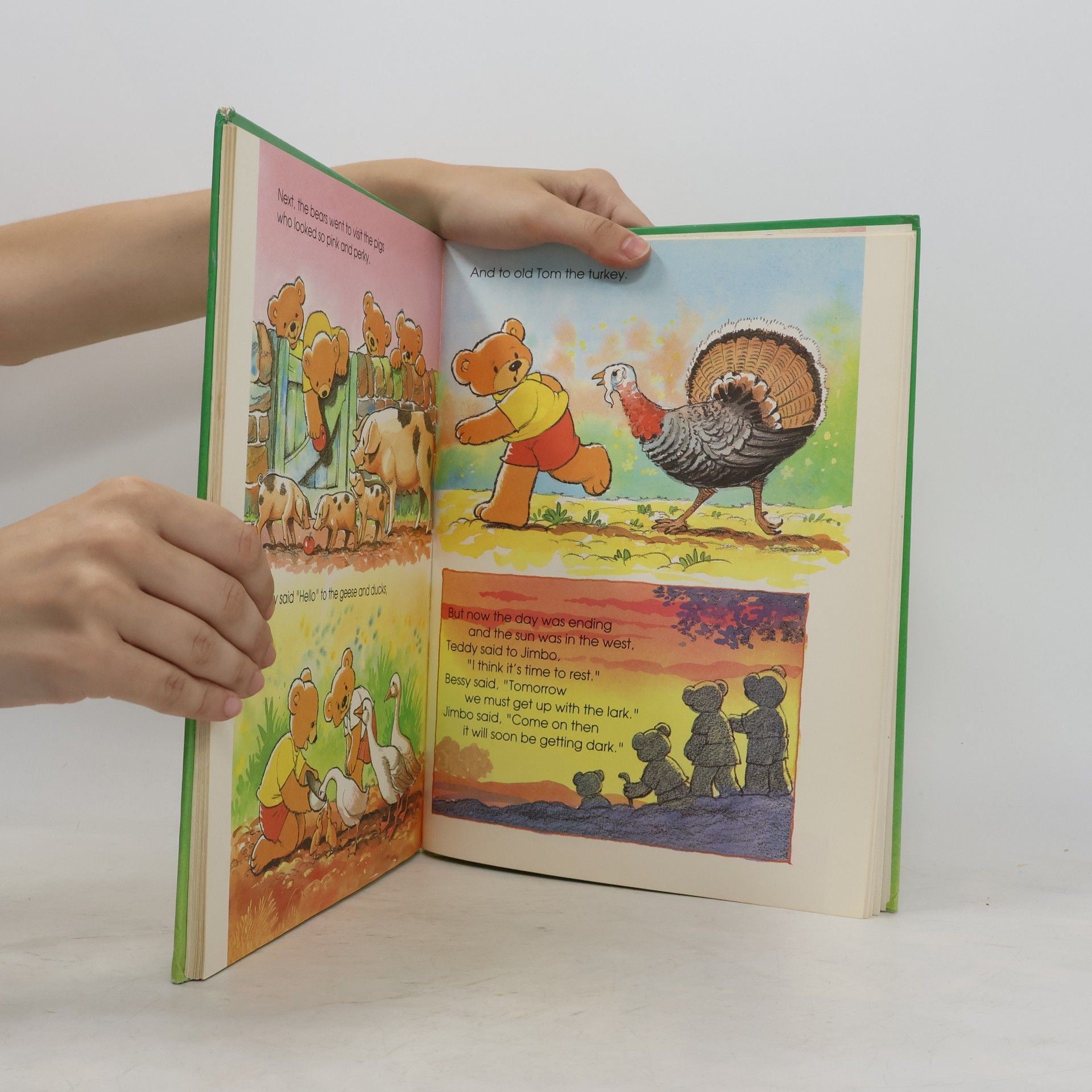 Brian Miles A Treasury of Teddy Tales