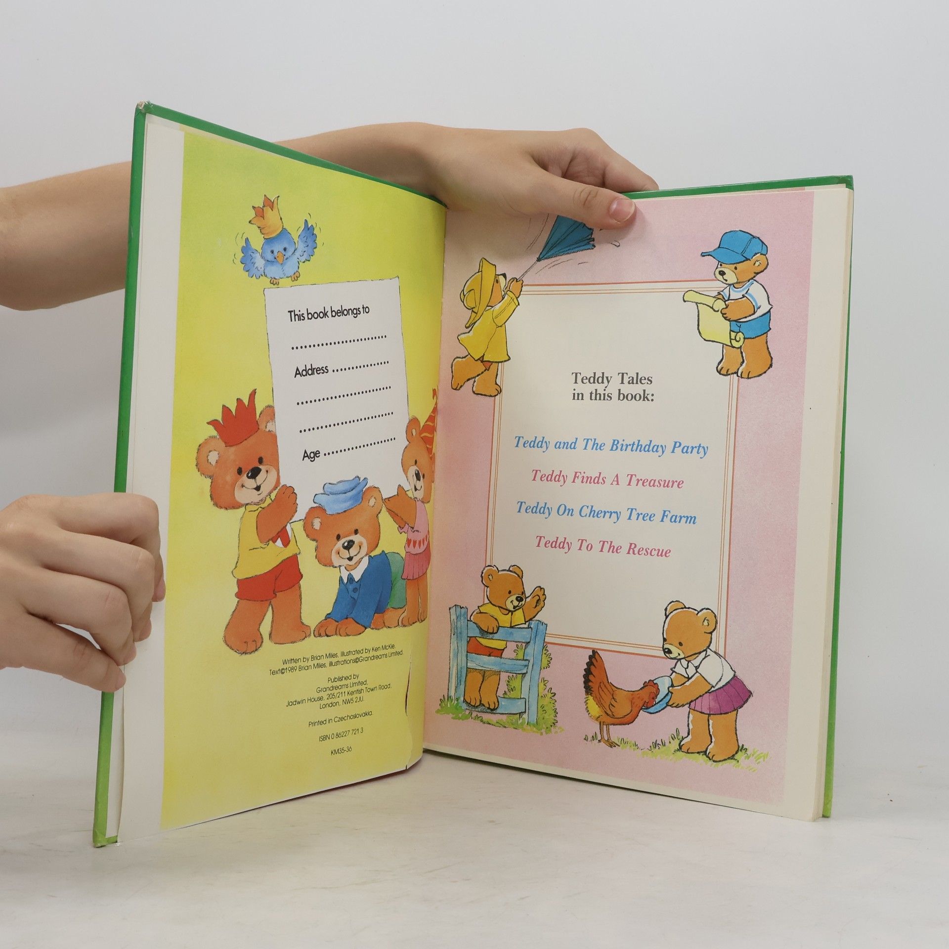Brian Miles A Treasury of Teddy Tales