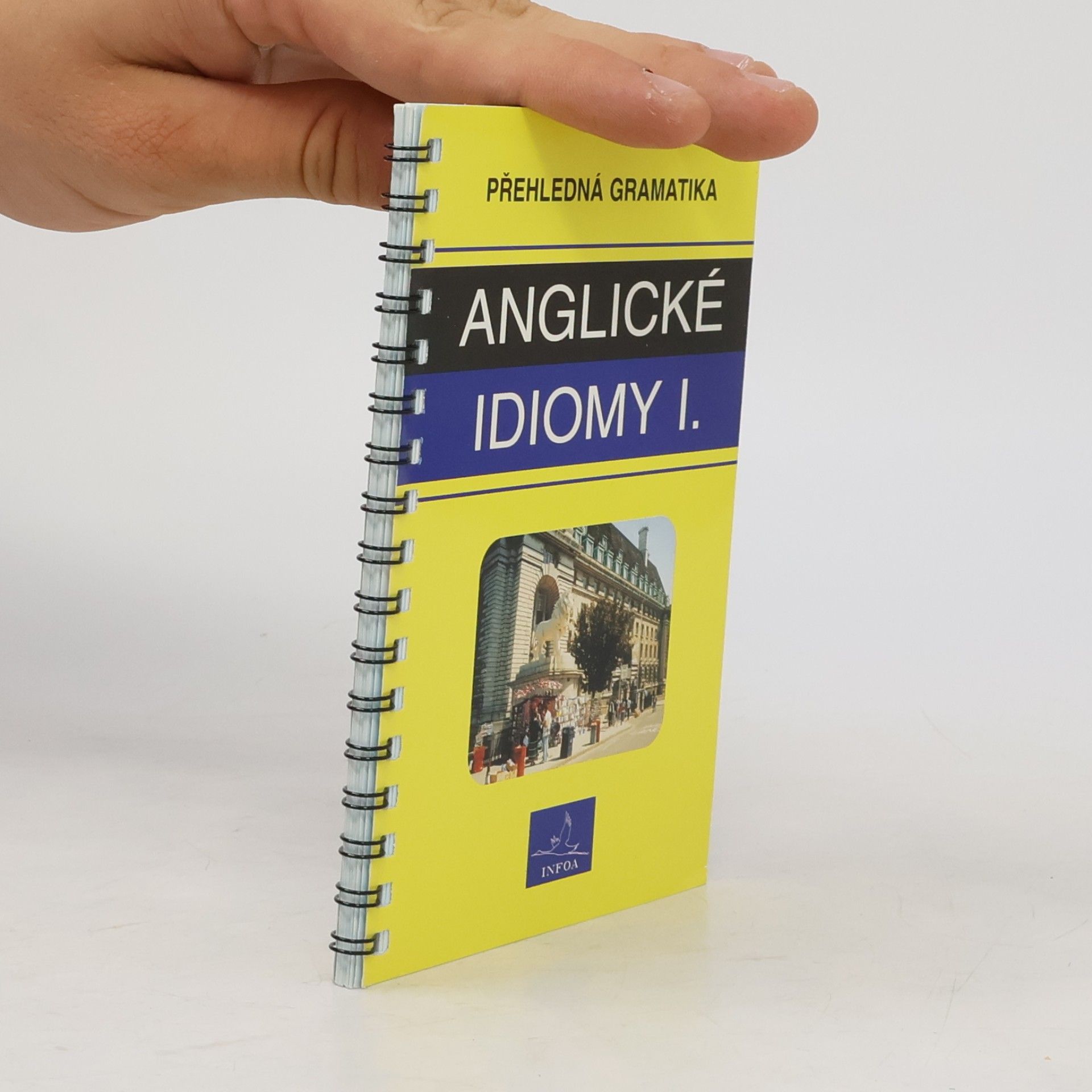 Kelly De Sarla Přehledná gramatika - anglické idiomy I.