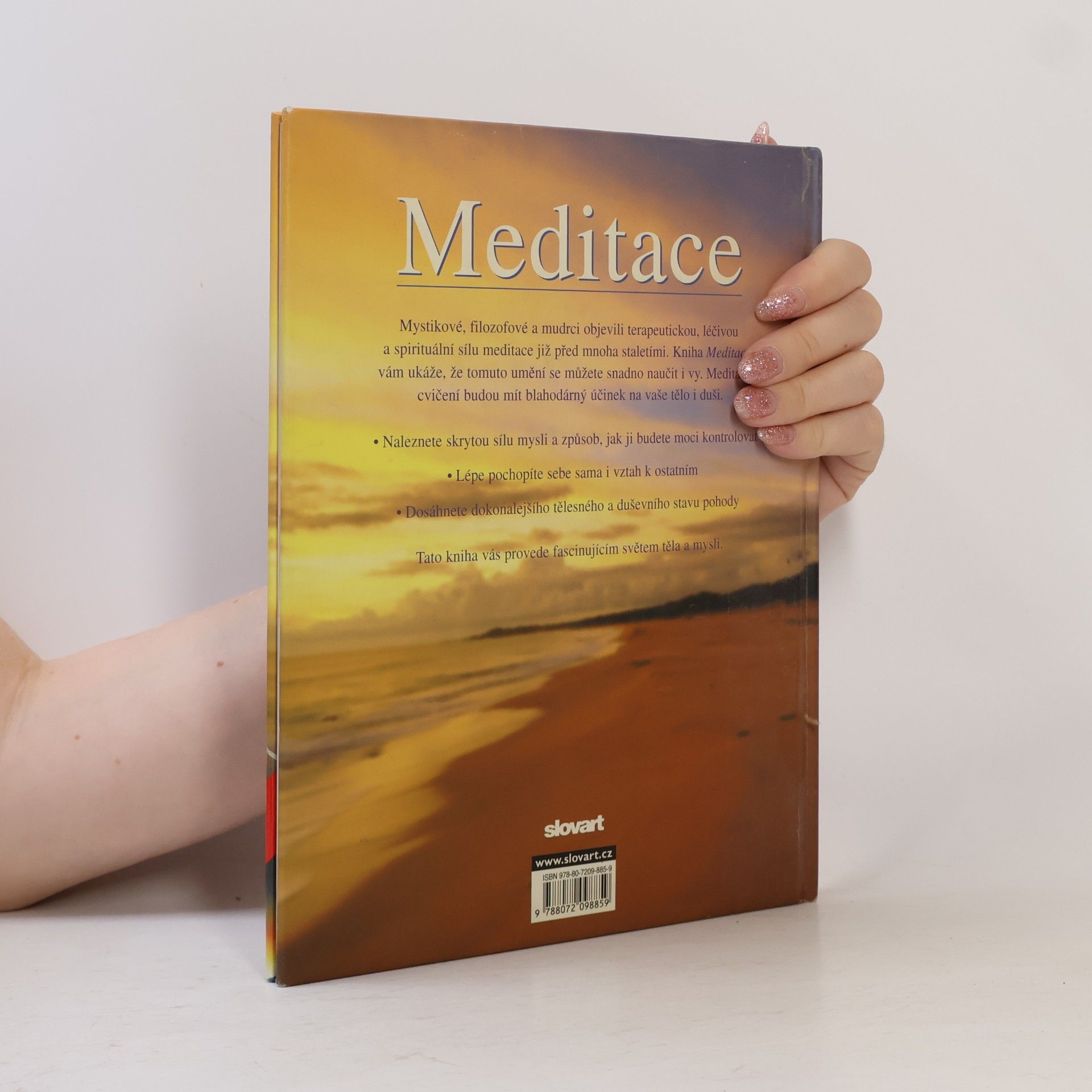 Lorraine Turner Meditace