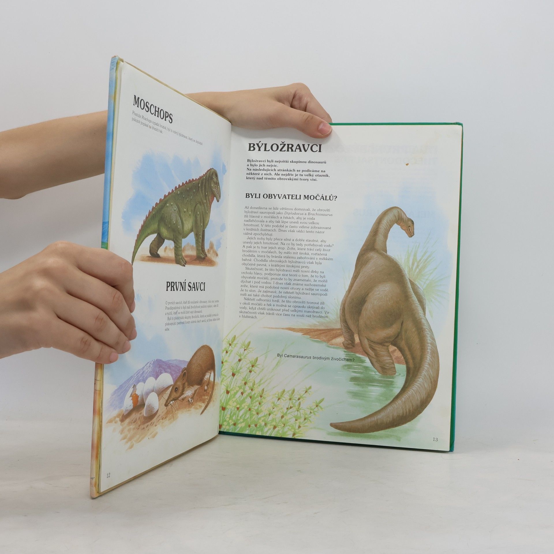 Glynis Langley Svět dinosaurů