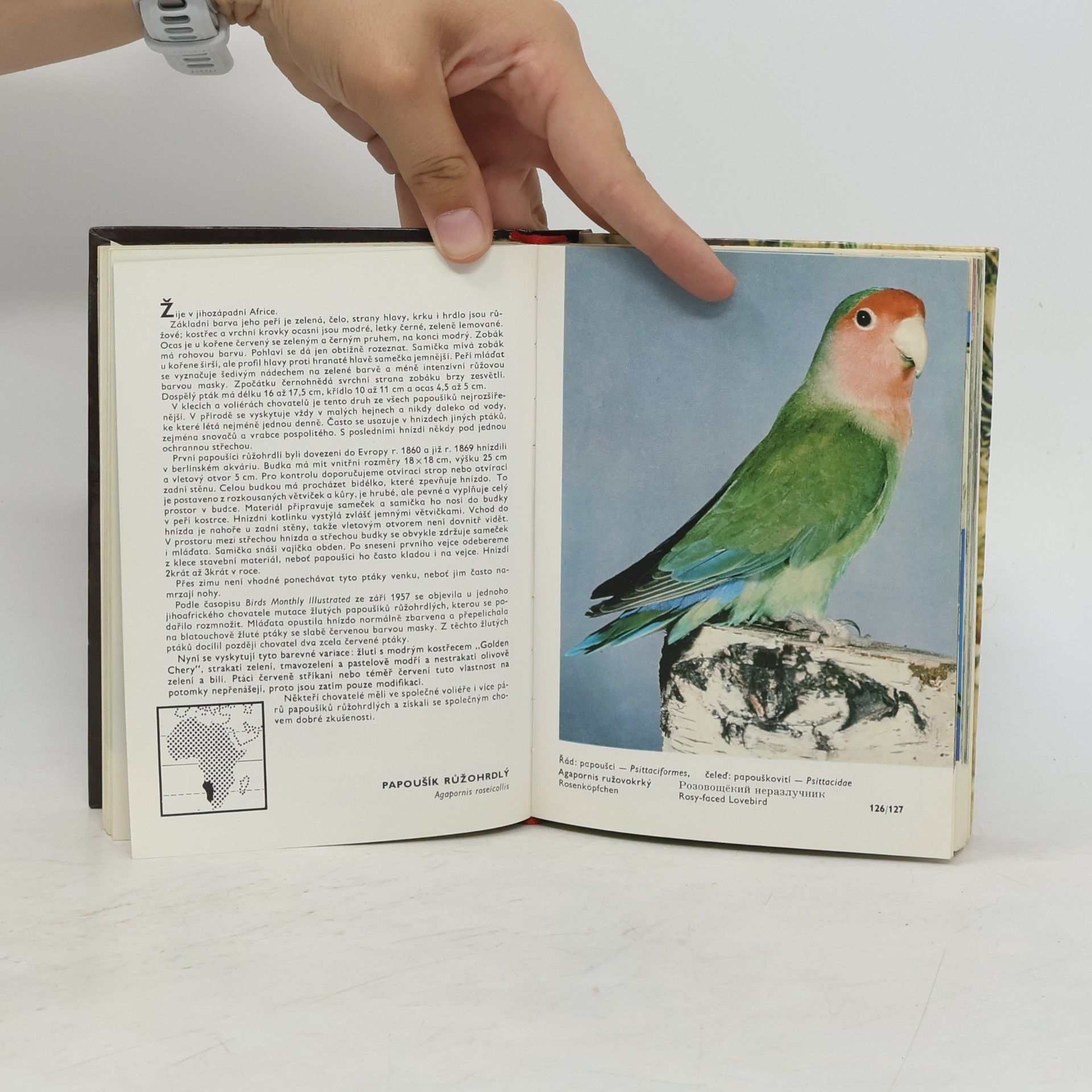 Zdeněk Veger Kapesní atlas cizokrajných ptáků