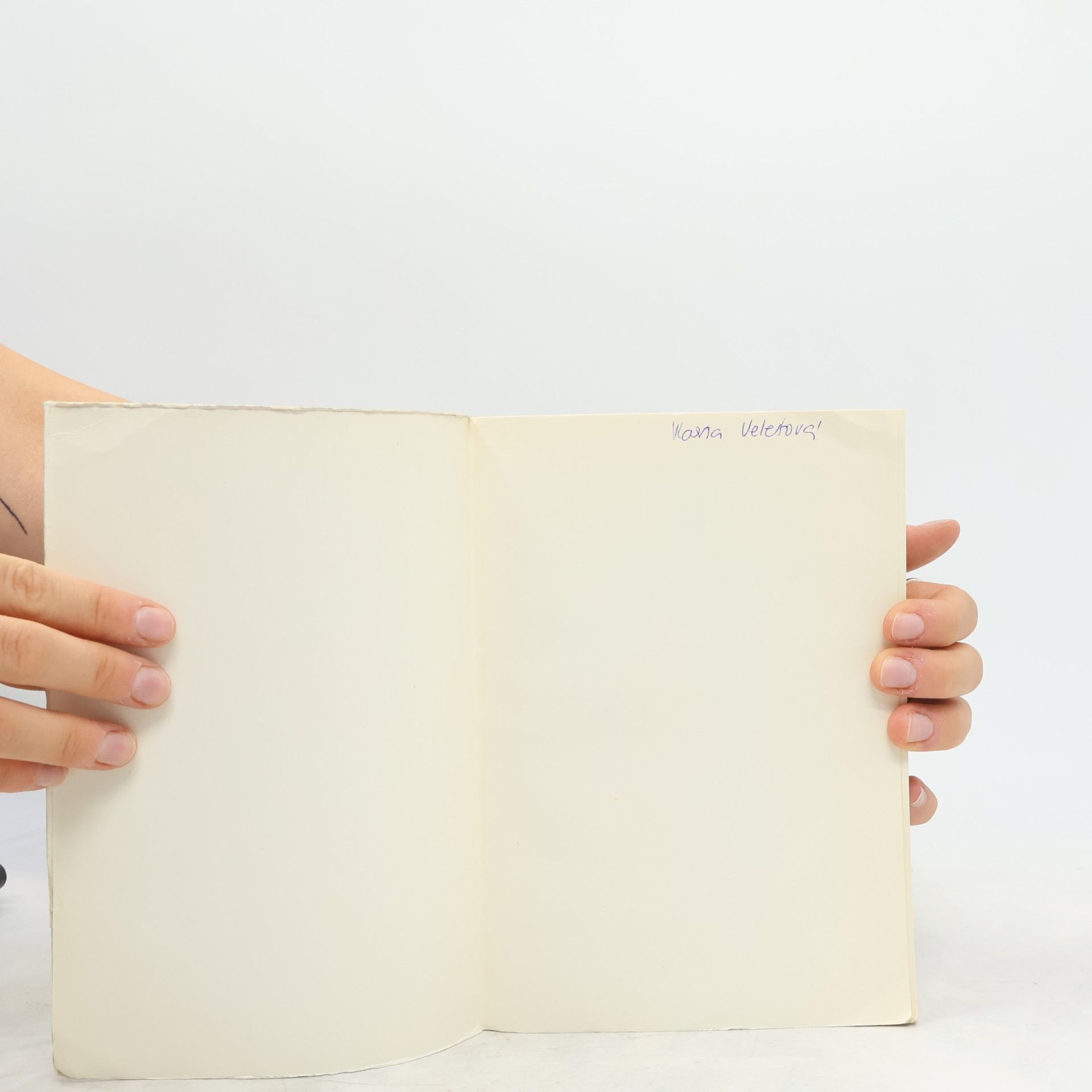 Frída Myrtil 666 profilů zahraničních režisérů (A-Z)