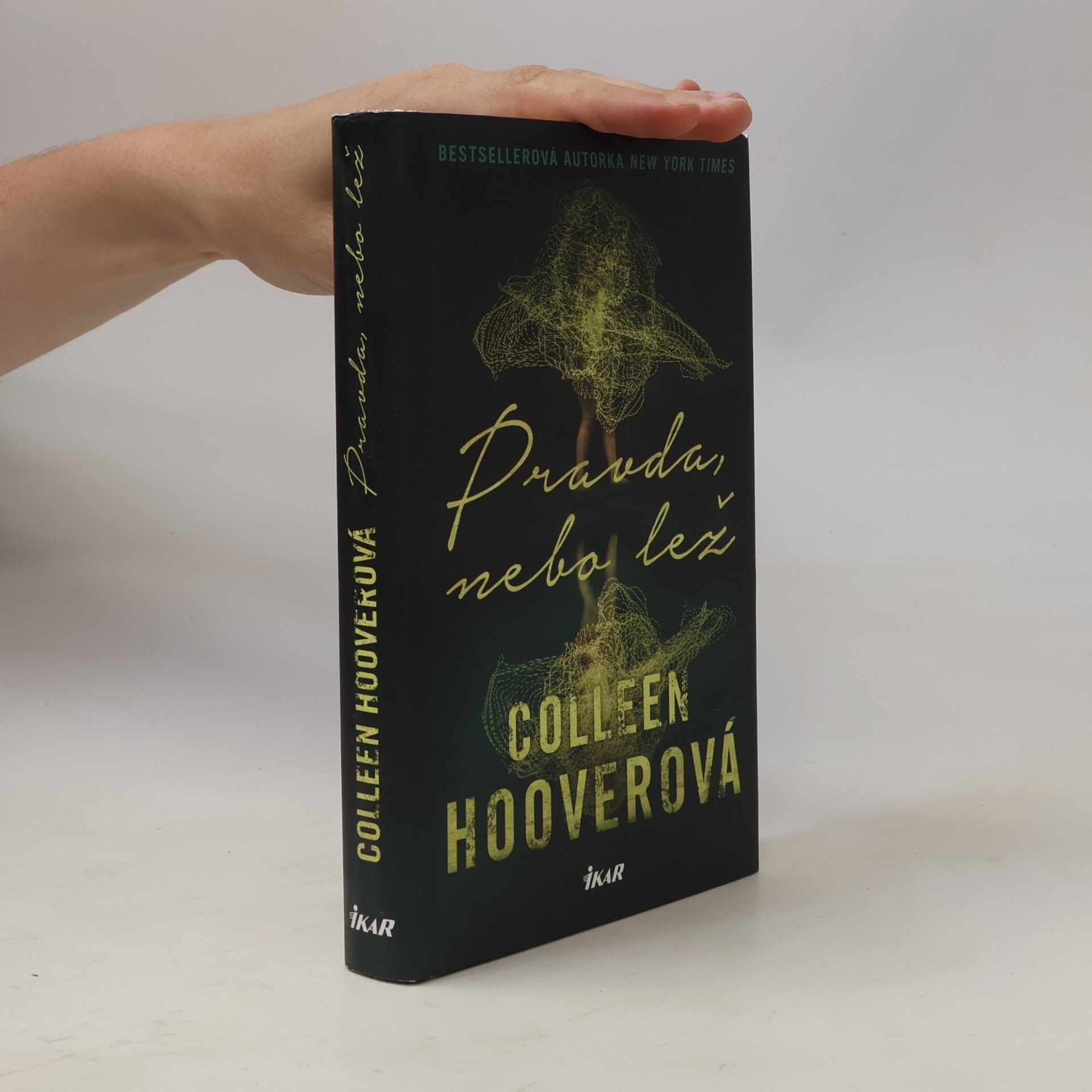 Colleen Hoover Pravda nebo lež