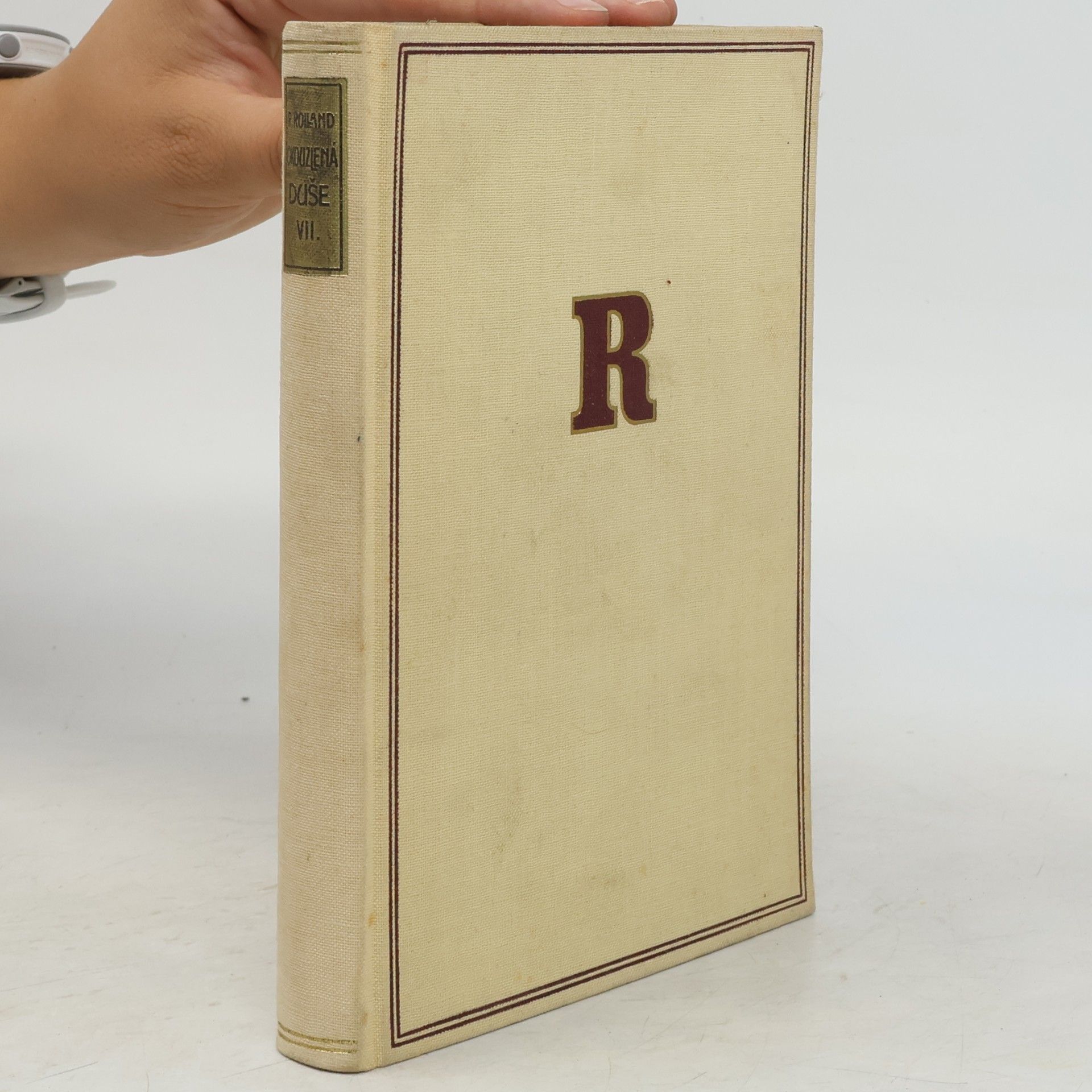 Romain Rolland Okouzlená duše VII. Zvěstovatelka Díl 3. Zrození II
