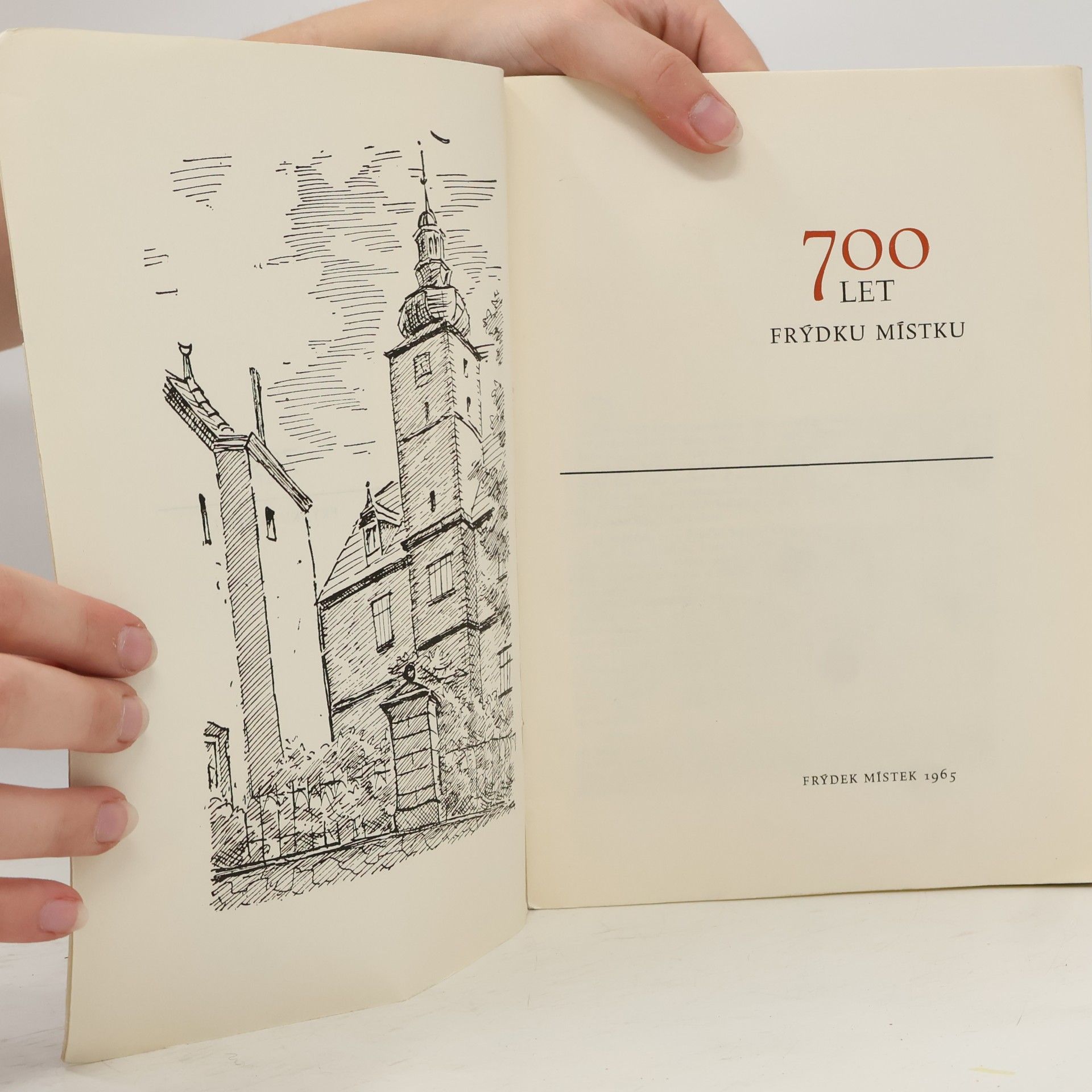 Kolektiv autorů 700let Frýdku Místku