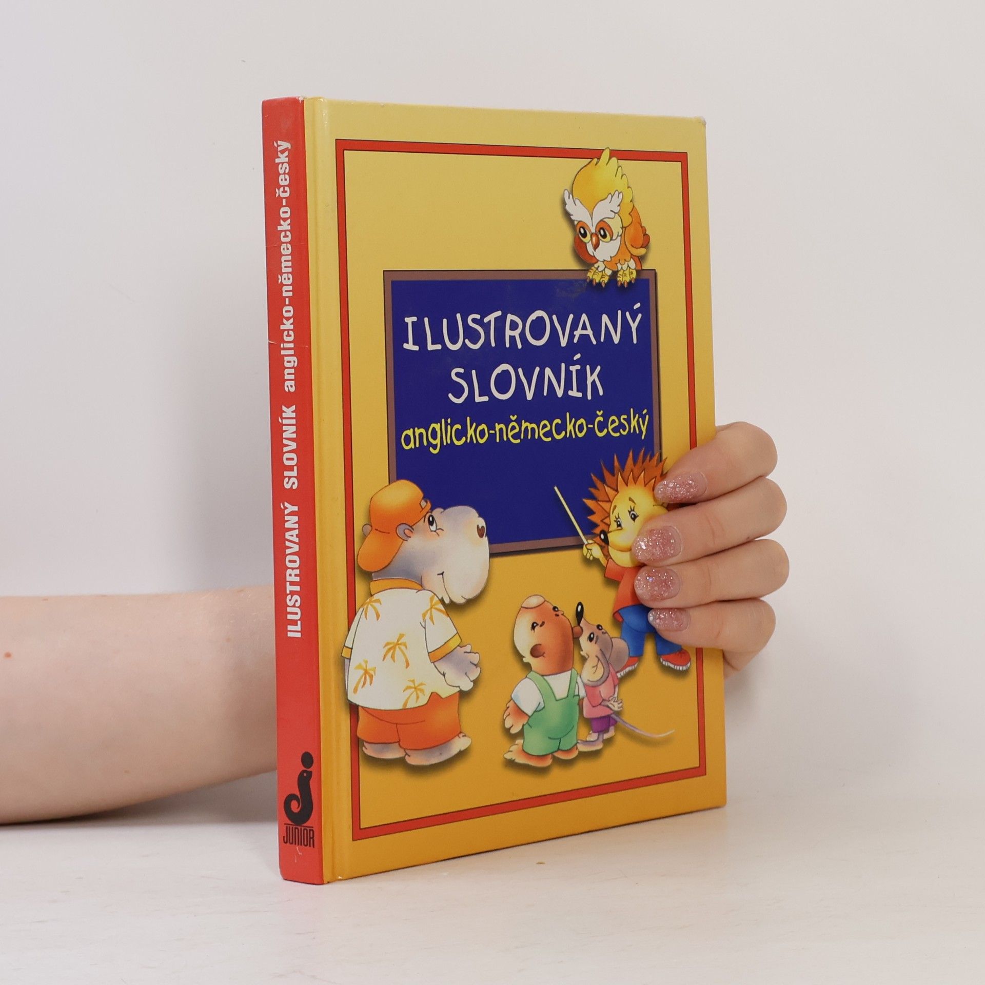 Andrij Melnikow Ilustrovaný slovník anglicko-německo-český