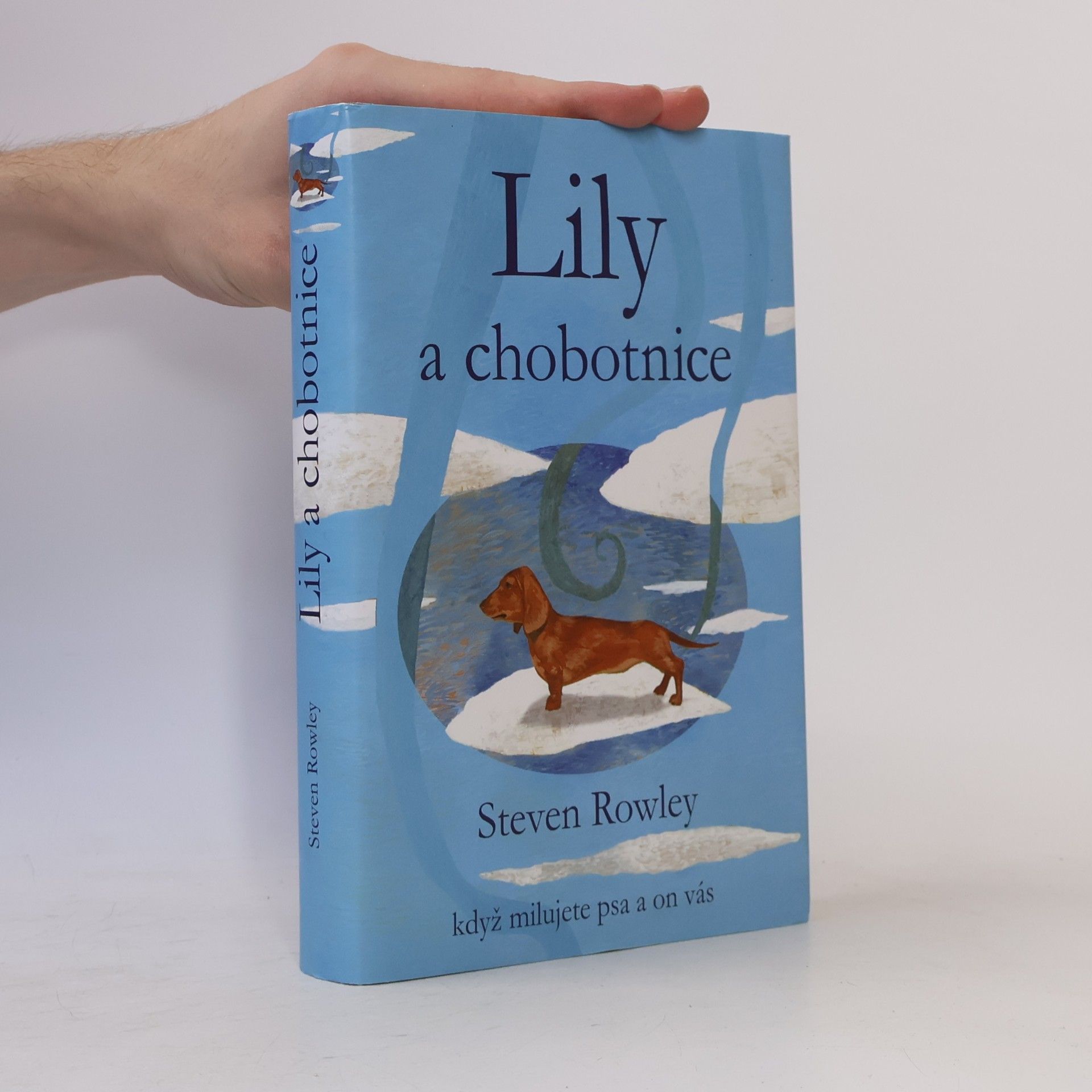 Steven Rowley Lily a chobotnice: Když milujete psa a on vás
