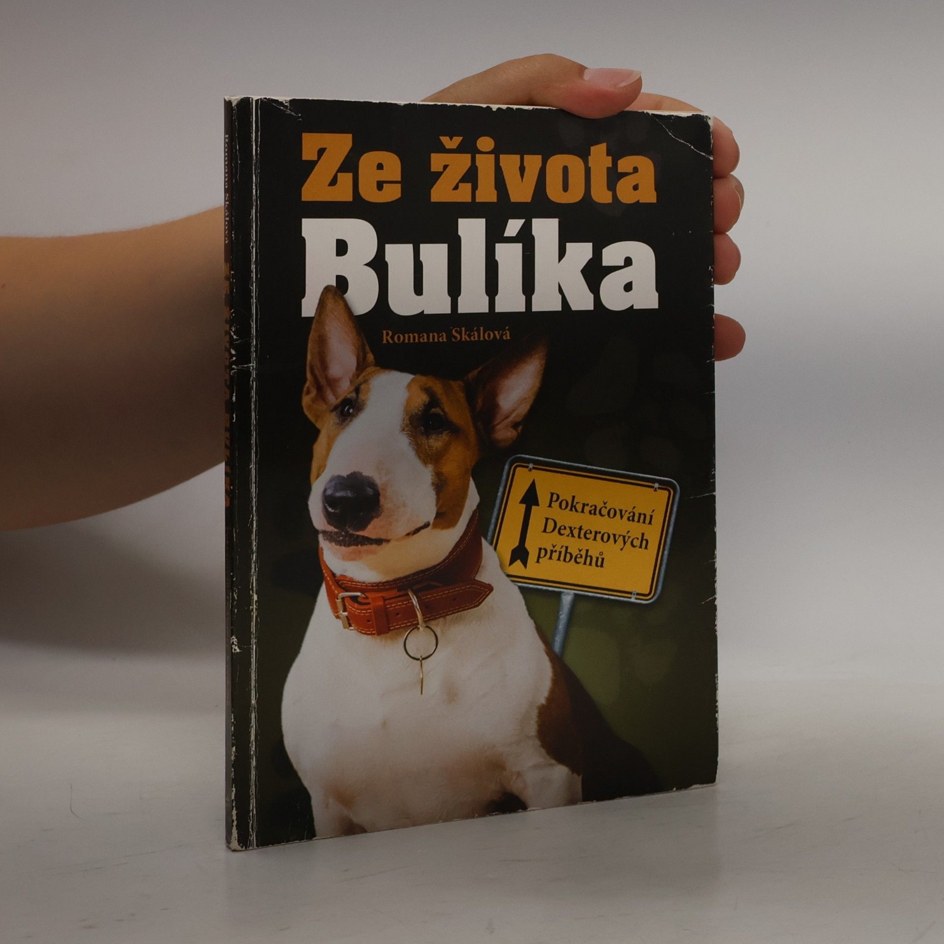 Romana Skálová Ze života Bulíka - Pokračování Dexterových příběhů