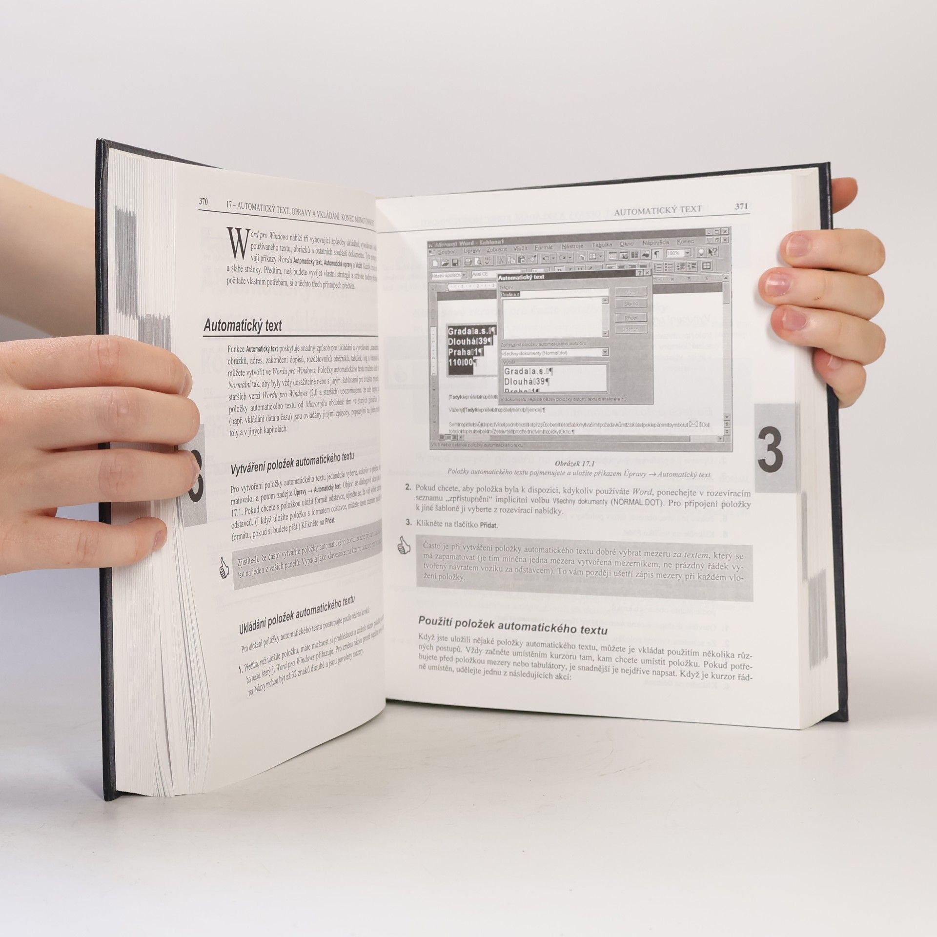 Ron Mansfield Word 7 pro Windows 95