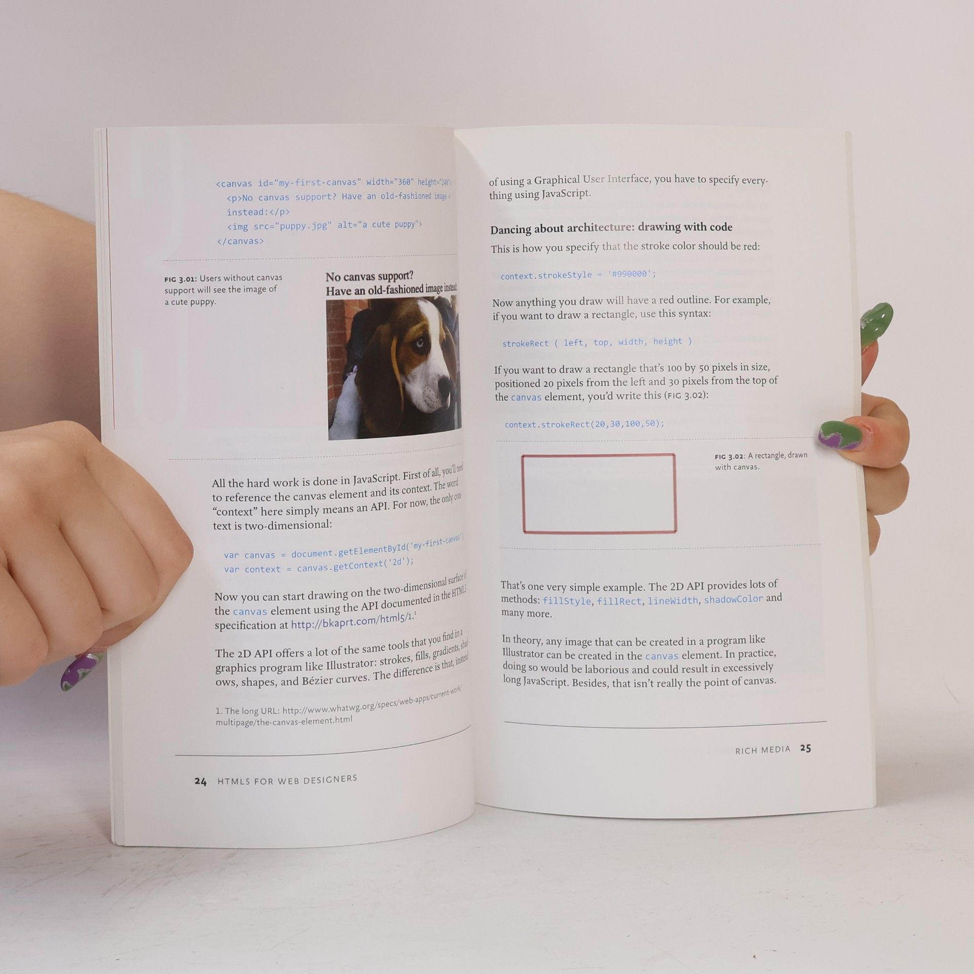 Jeremy Keith HTML5 for web designers