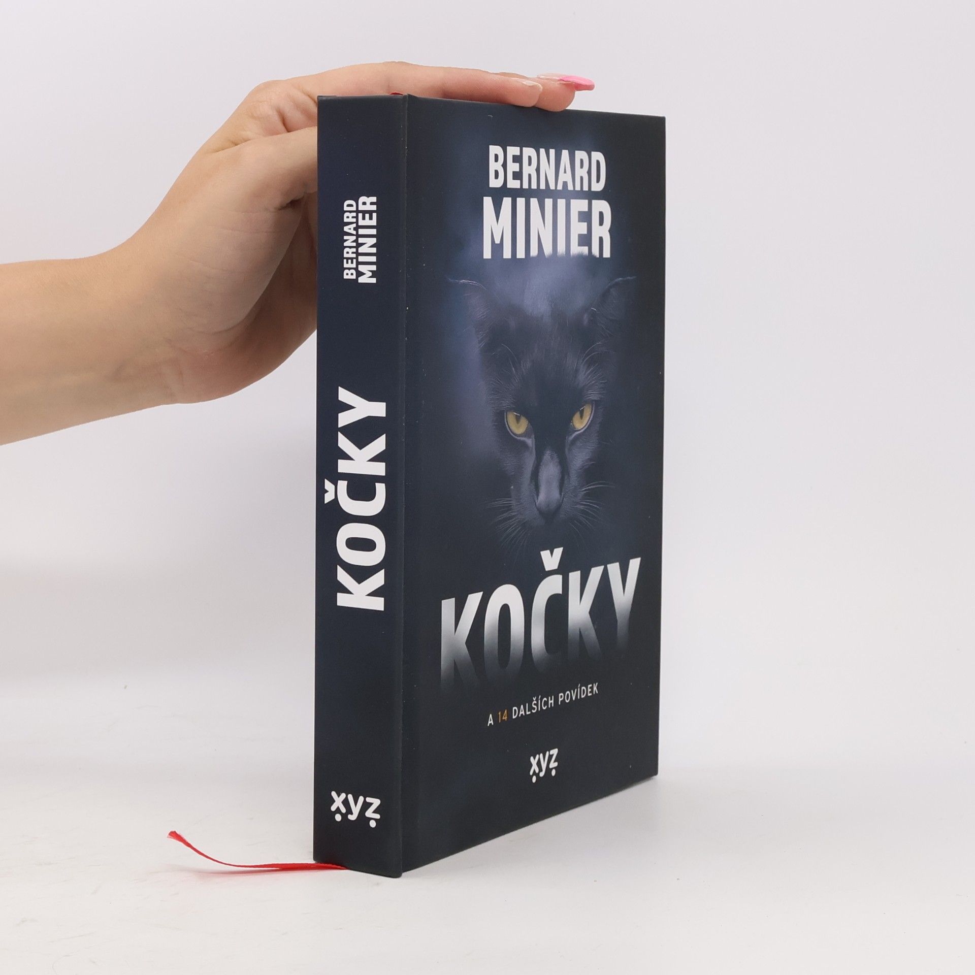 Kočky